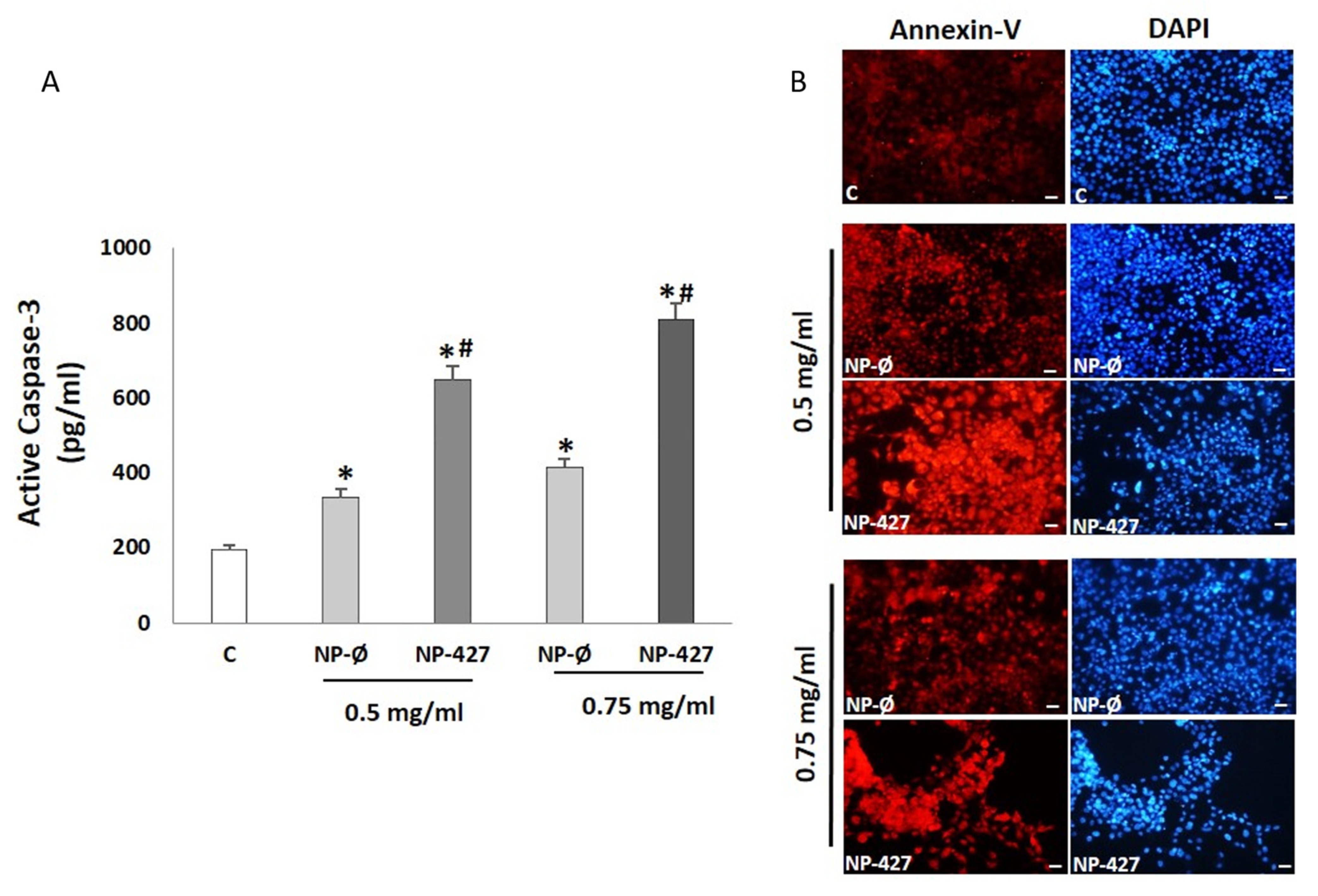 Pharmaceutics 13 01242 g003