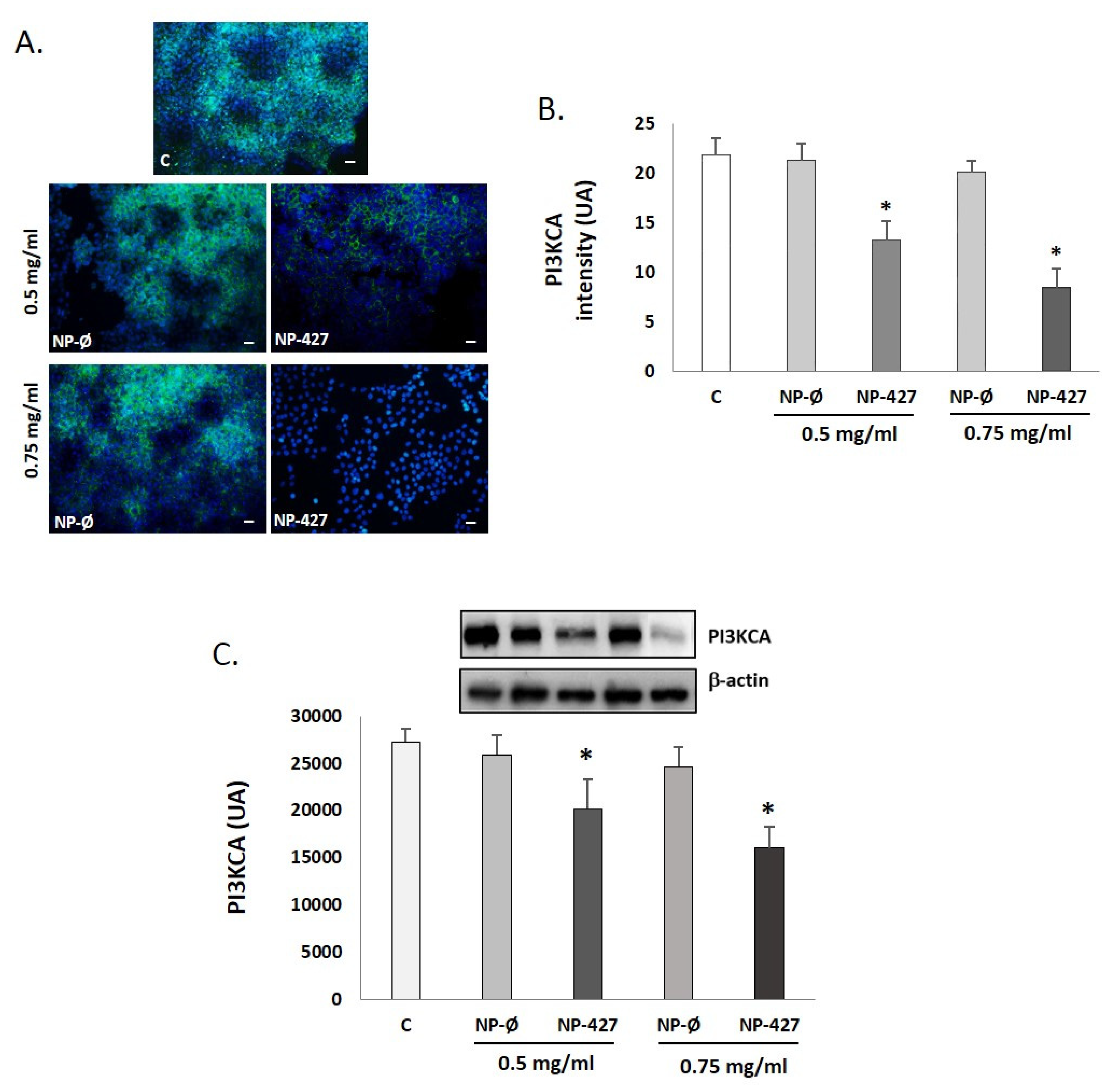Pharmaceutics 13 01242 g006