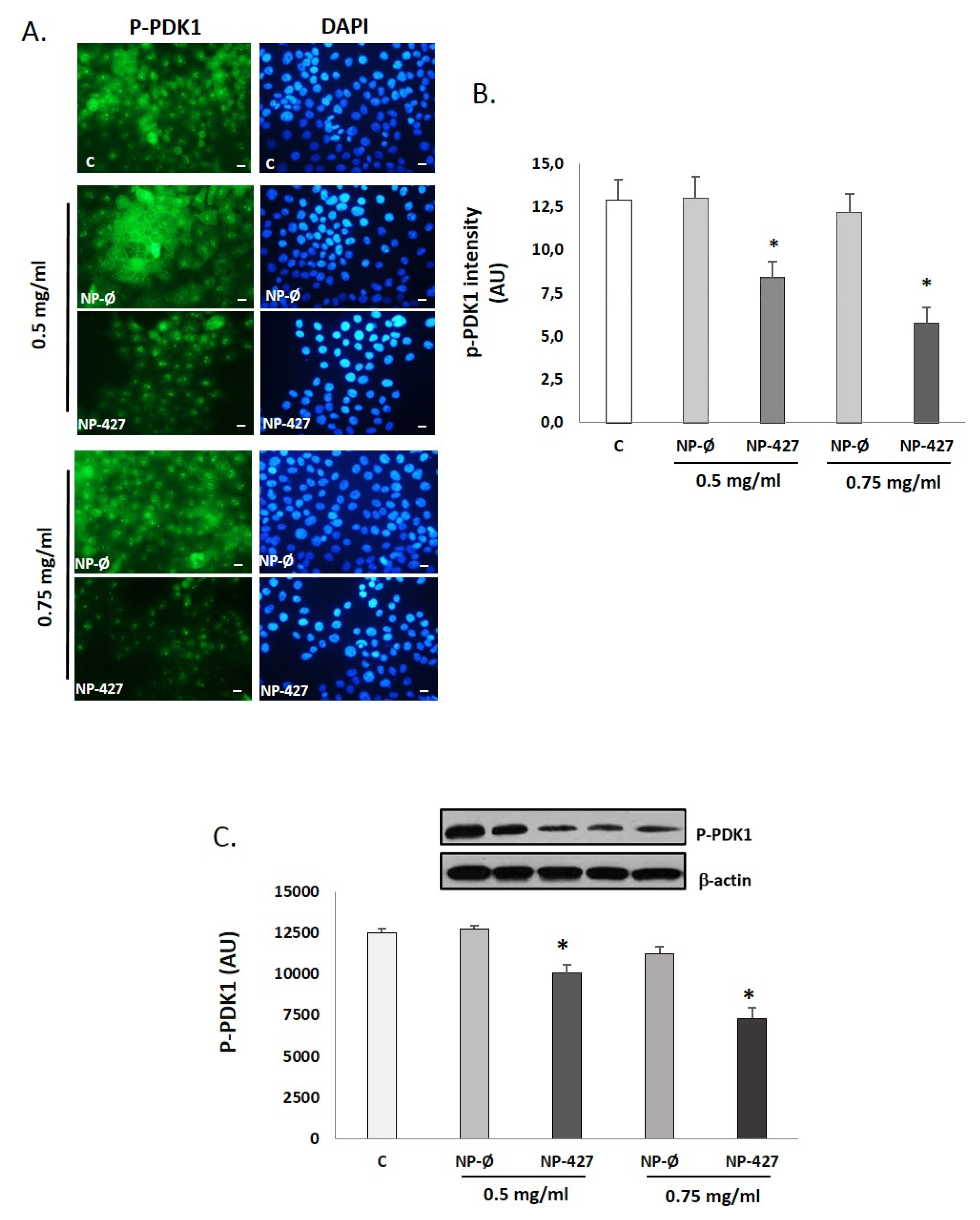 Pharmaceutics 13 01242 g007