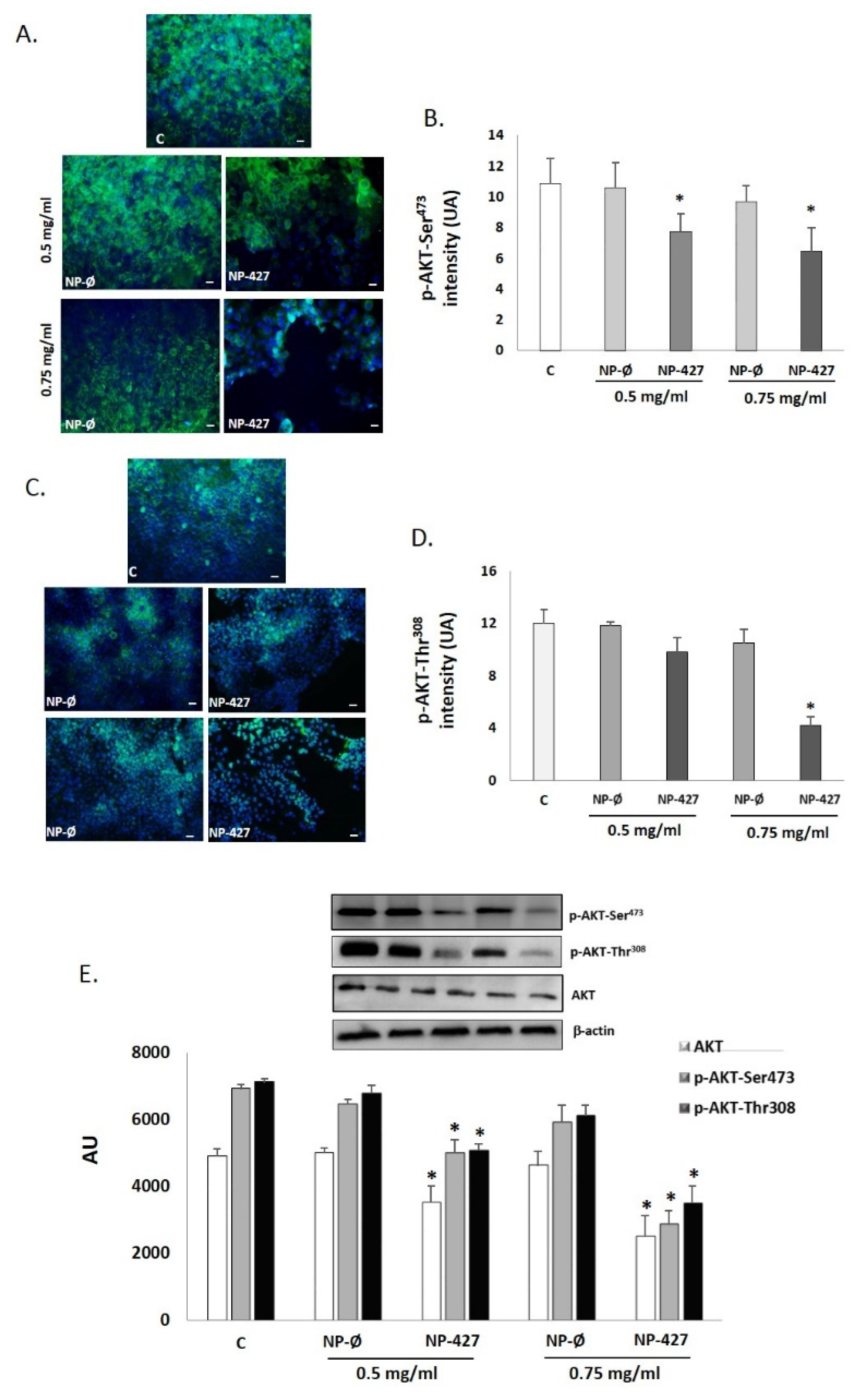 Pharmaceutics 13 01242 g008