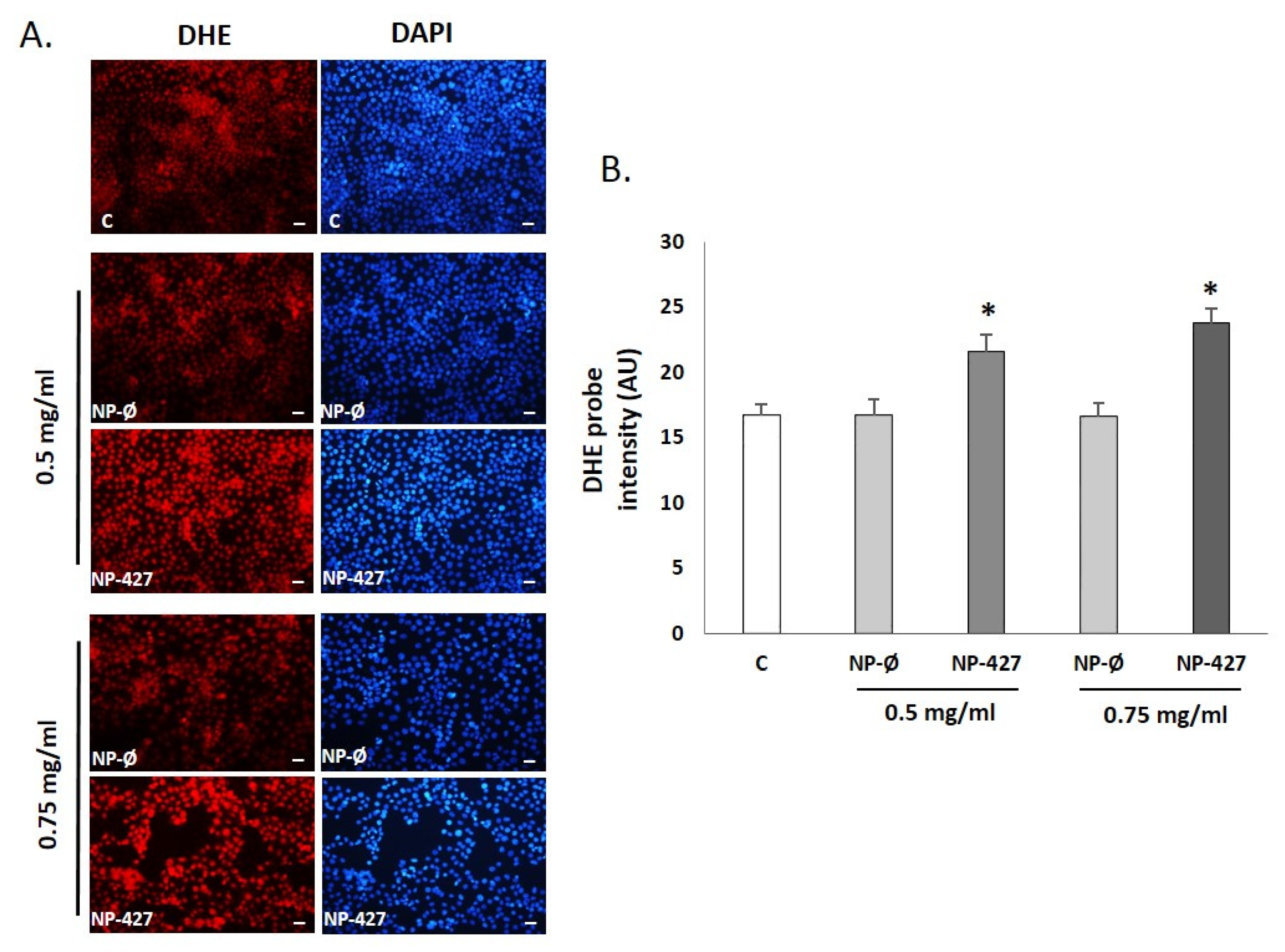 Pharmaceutics 13 01242 g009