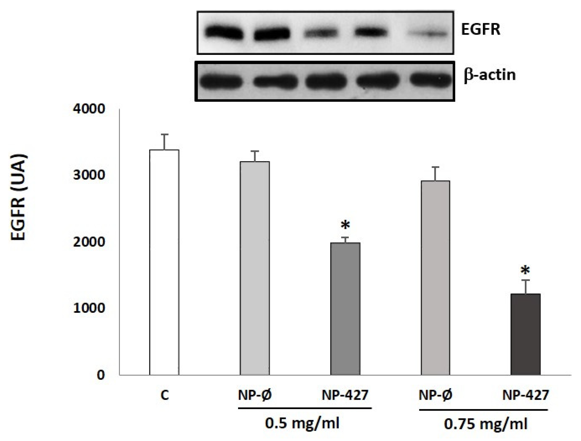 Pharmaceutics 13 01242 g010