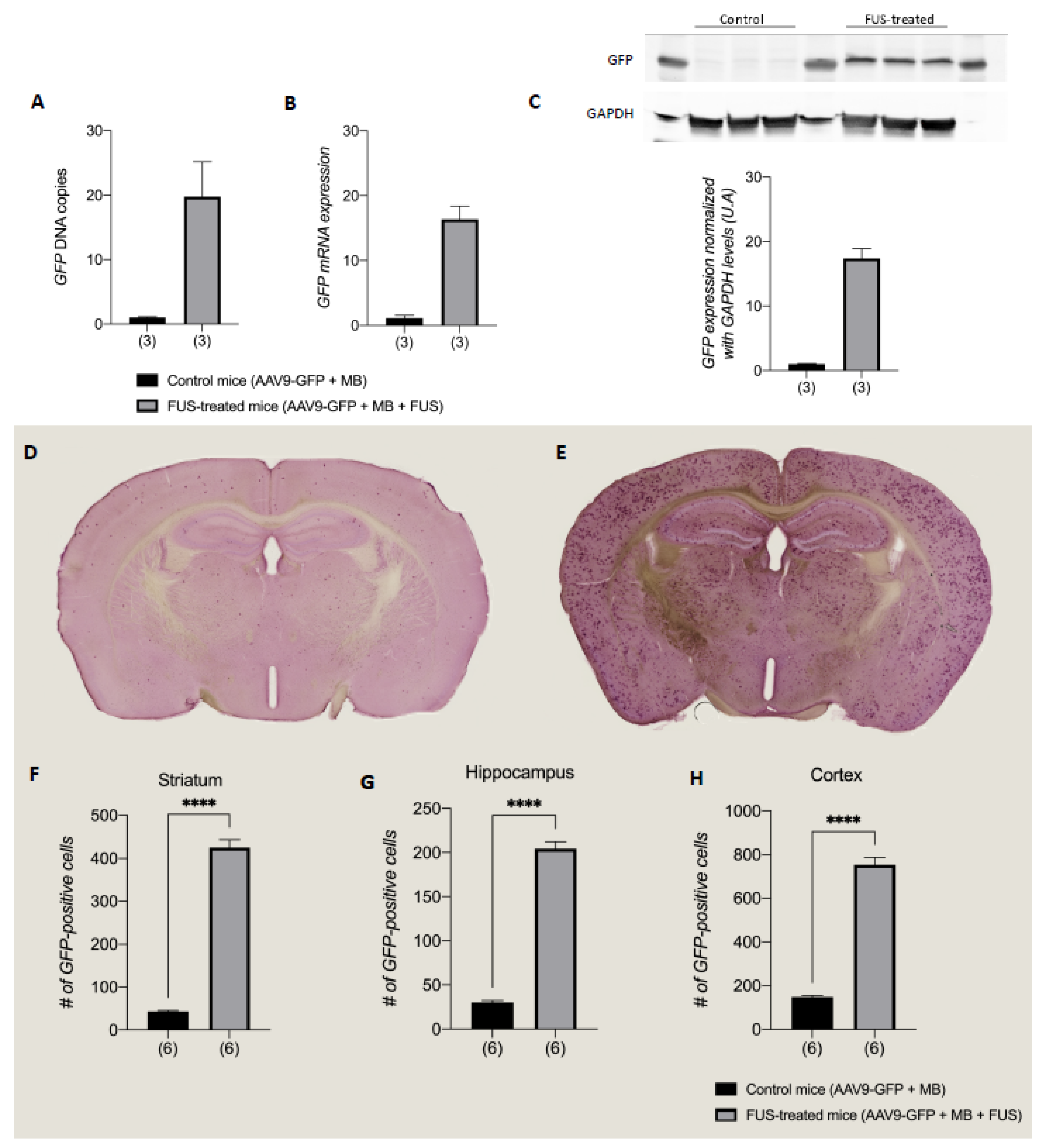 Pharmaceutics 13 01245 g004