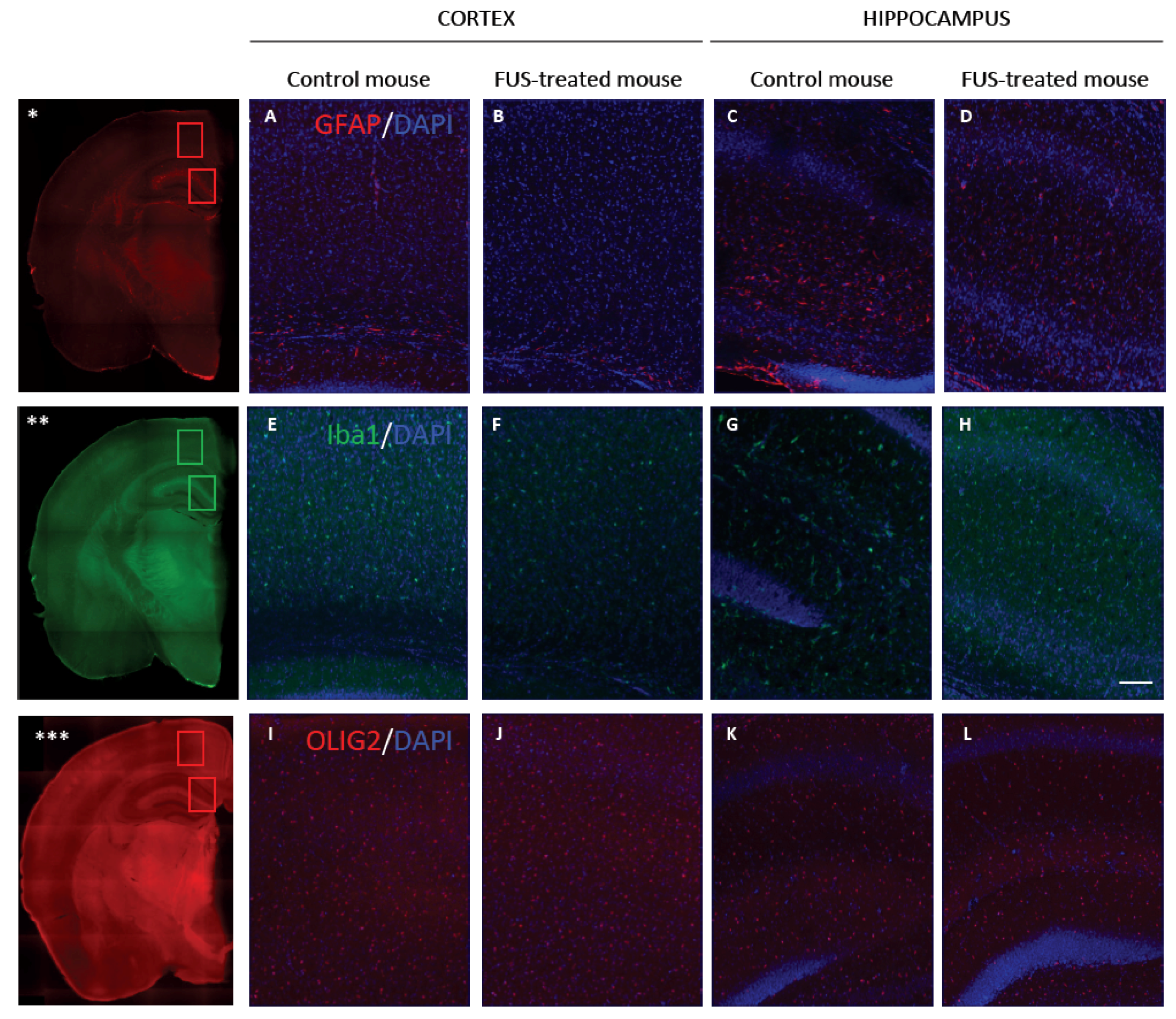 Pharmaceutics 13 01245 g005
