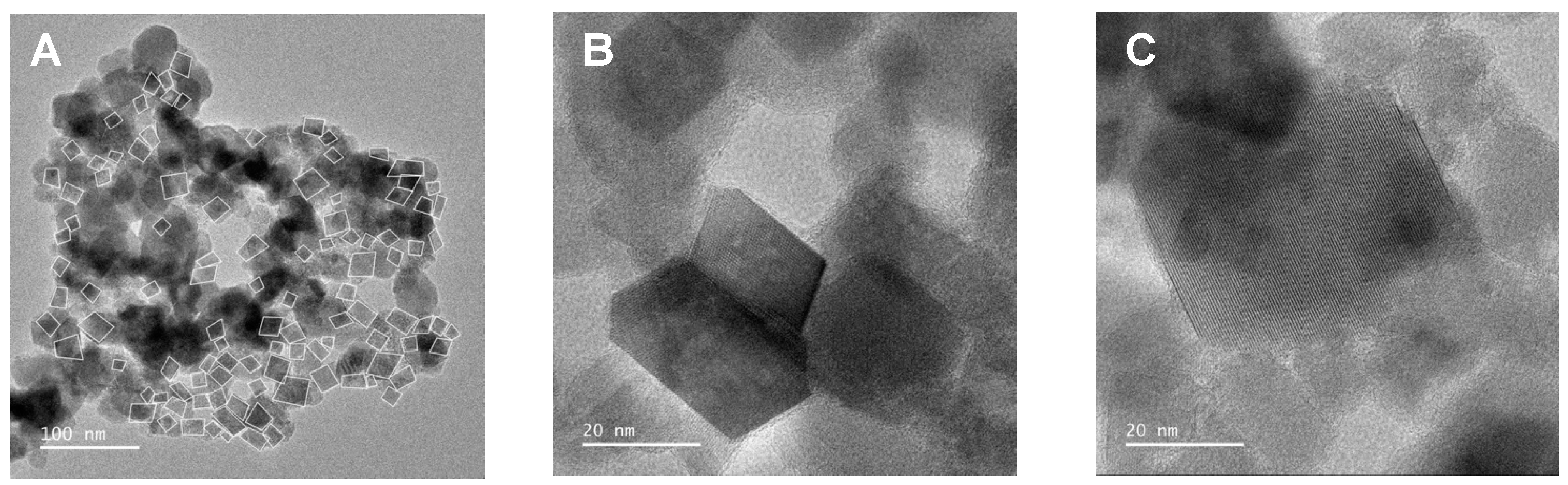 Pharmaceutics 13 01248 g003a