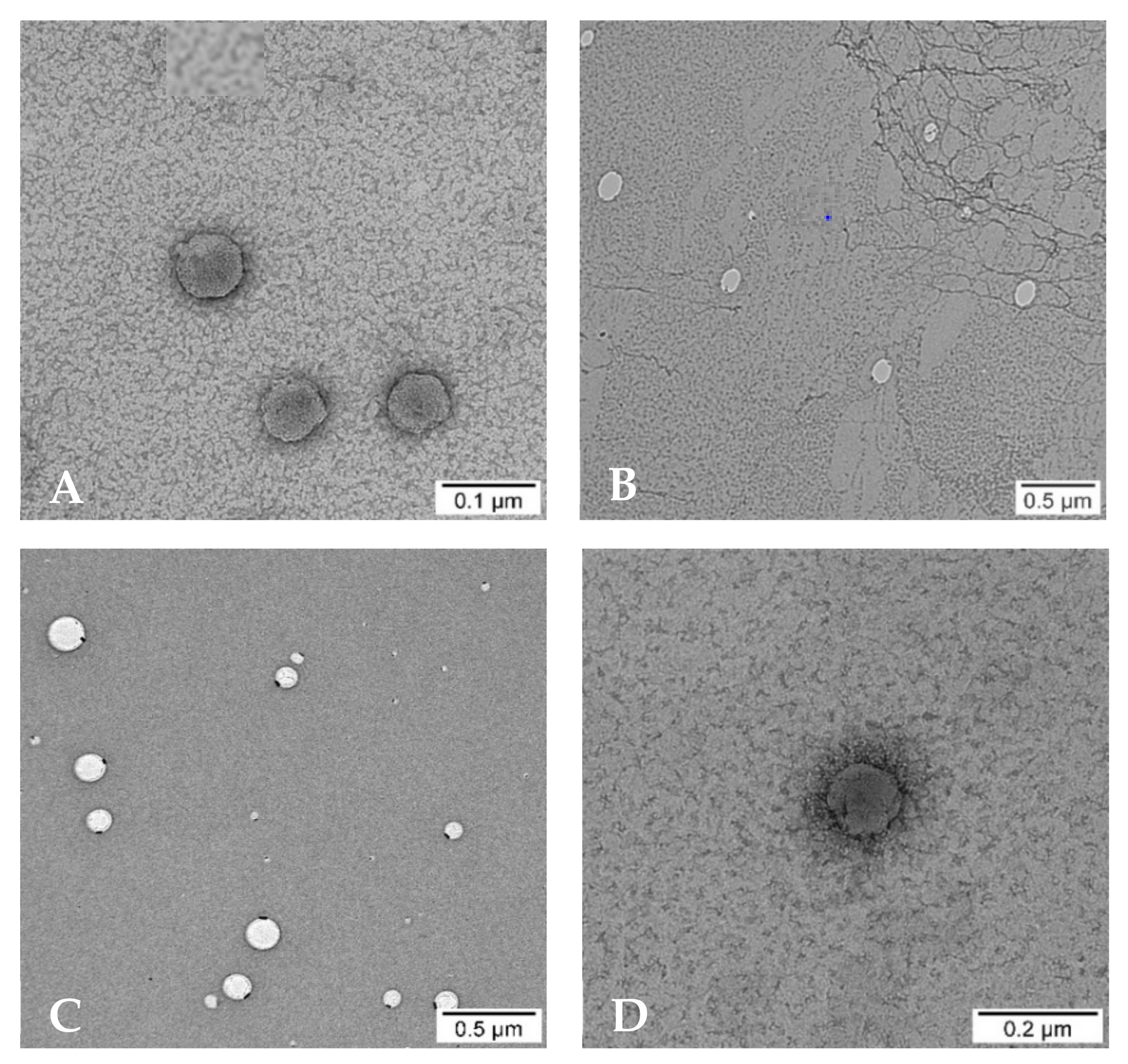 Pharmaceutics 13 01250 g007
