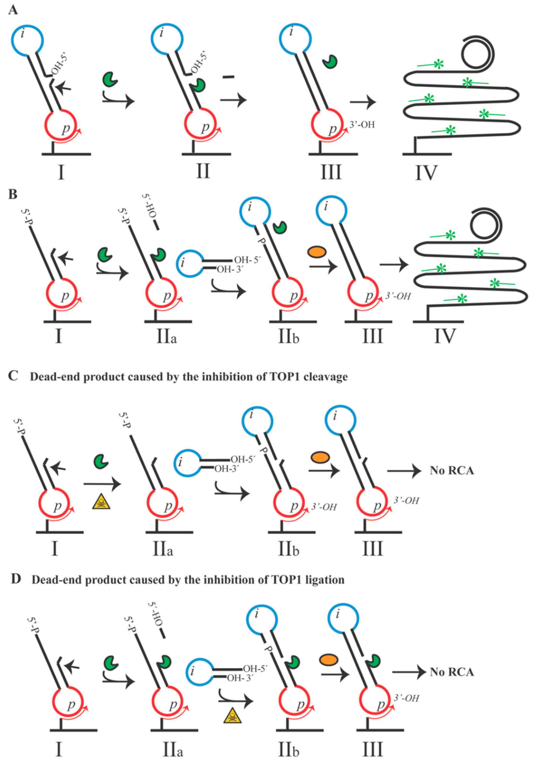 Pharmaceutics 13 01255 g001 Pharmaceutics 13 01255 g001