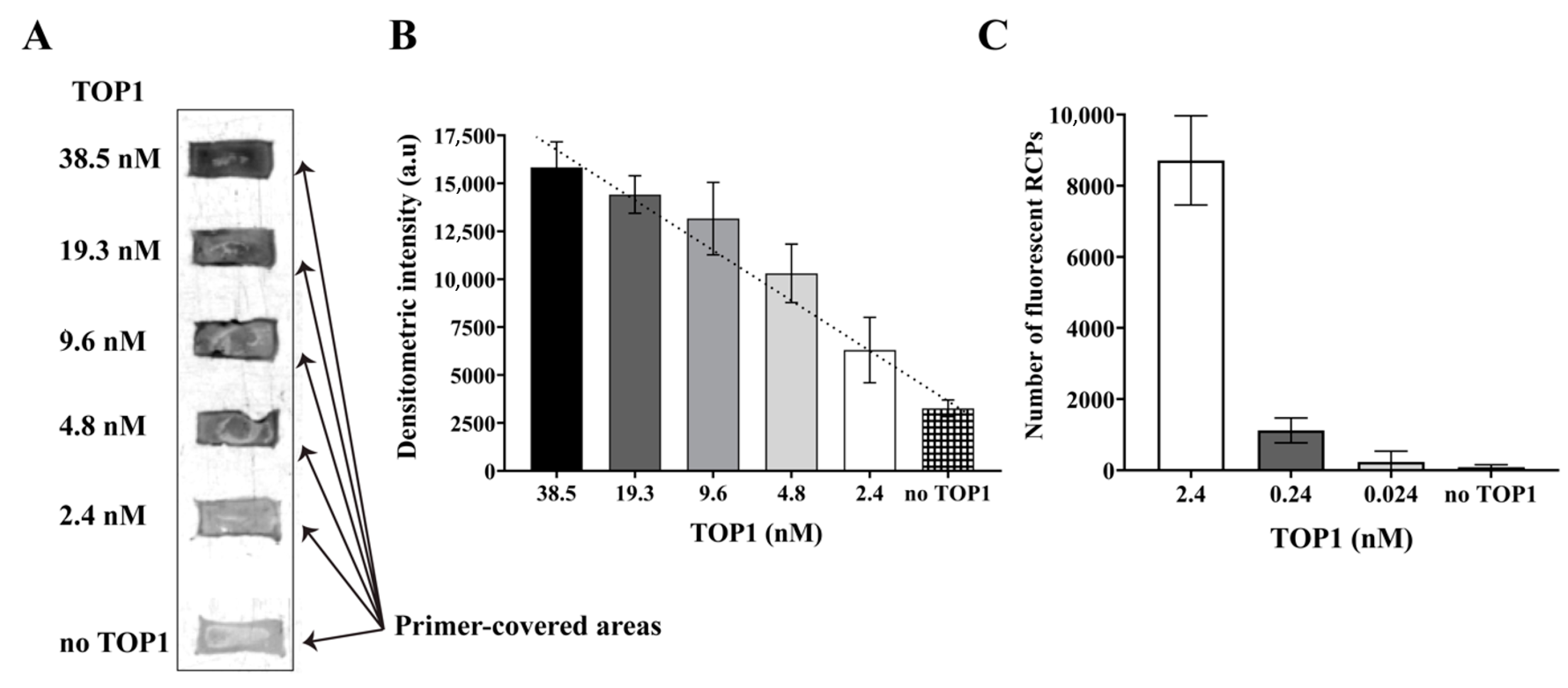 Pharmaceutics 13 01255 g004 Pharmaceutics 13 01255 g004