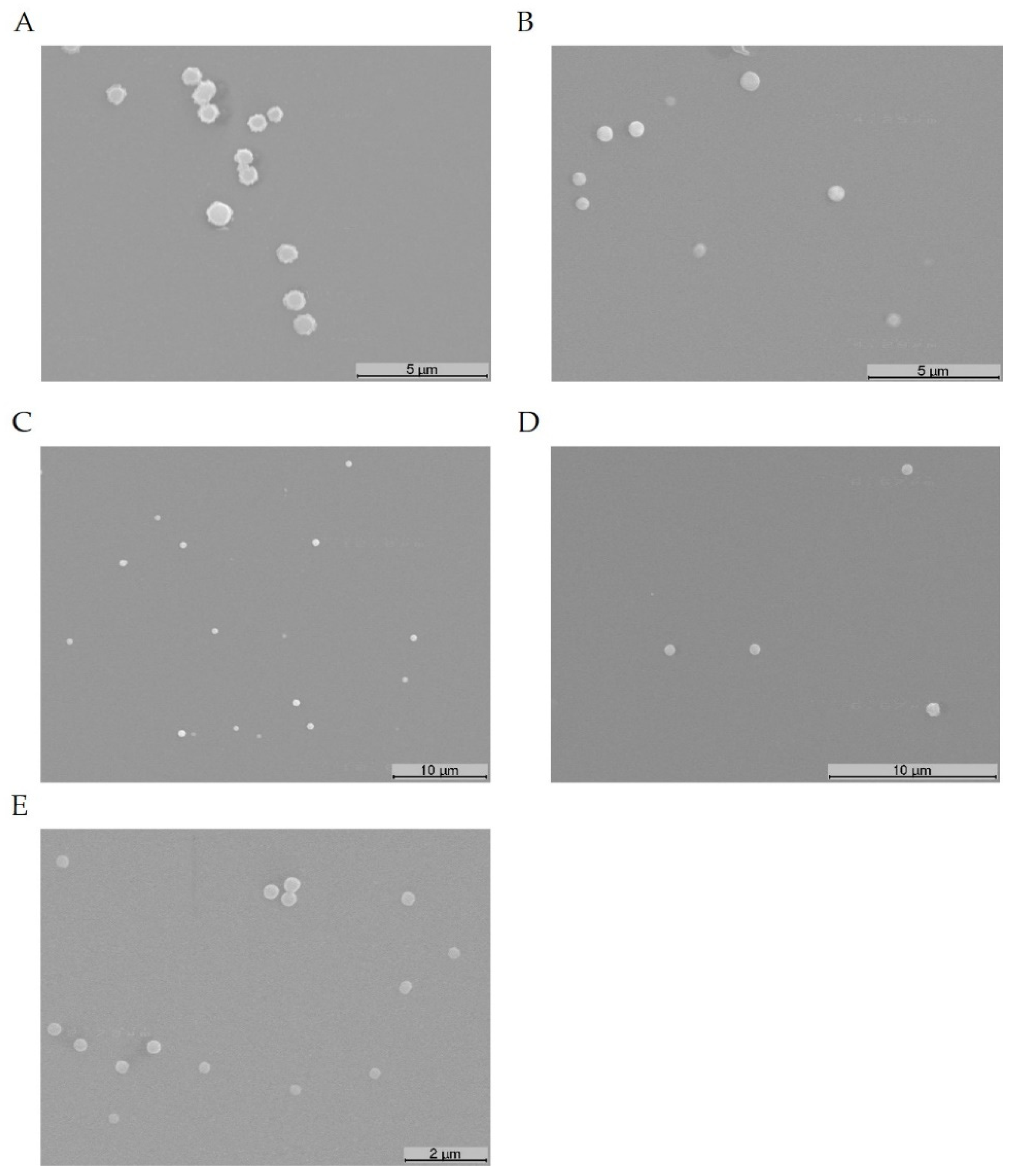 Pharmaceutics 13 01256 g003