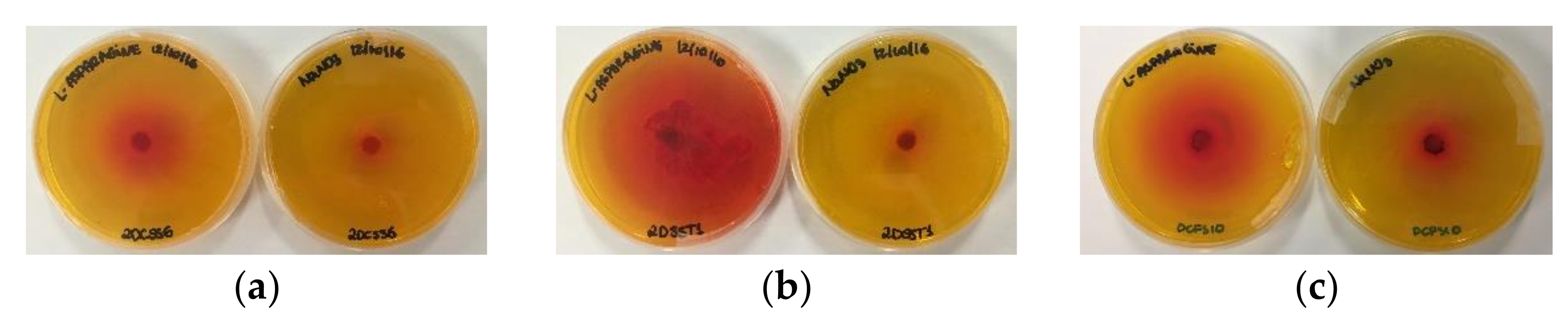 Pharmaceutics 13 01268 g001