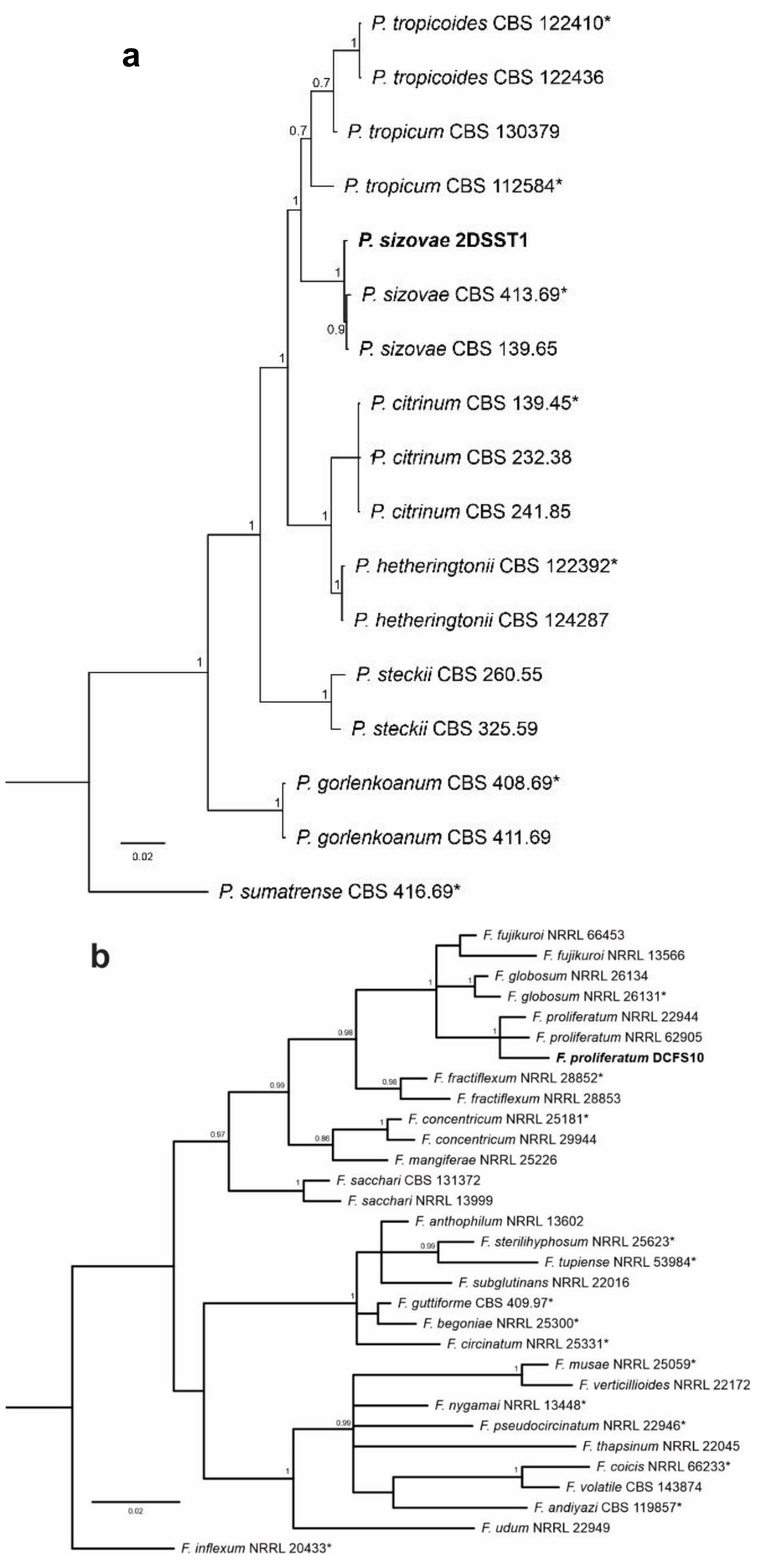 Pharmaceutics 13 01268 g004