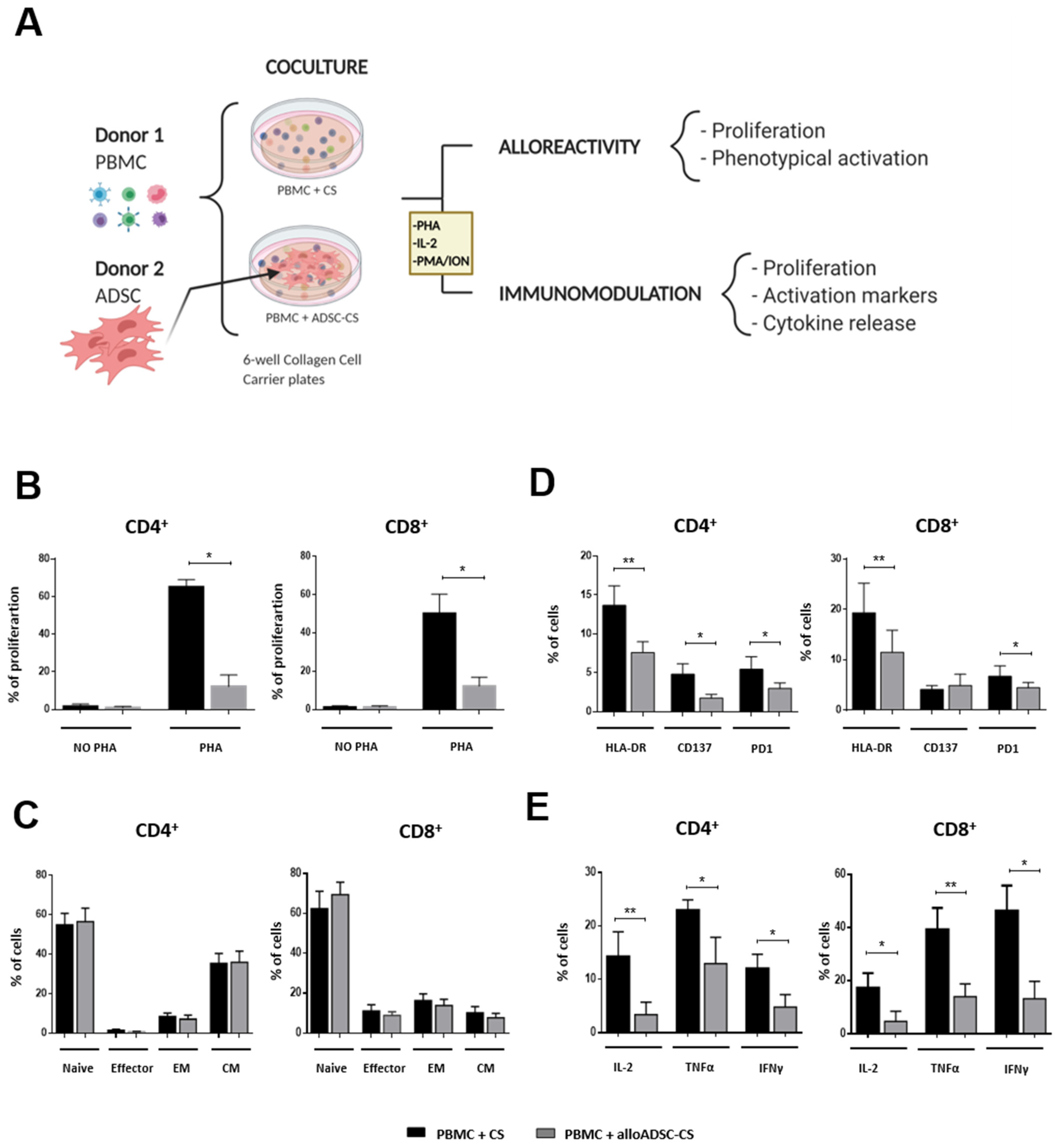 Pharmaceutics 13 01269 g003