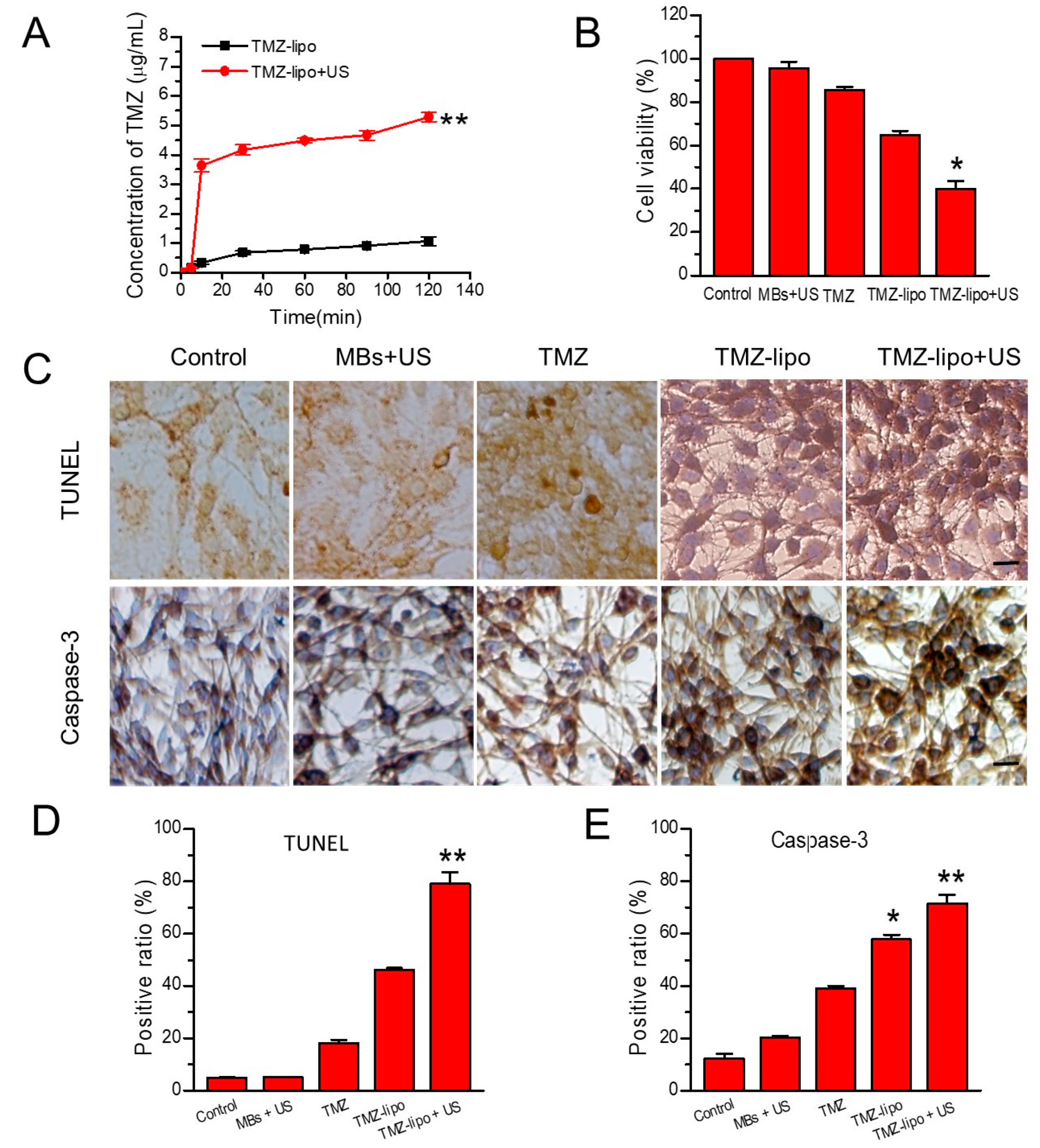 Pharmaceutics 13 01270 g004