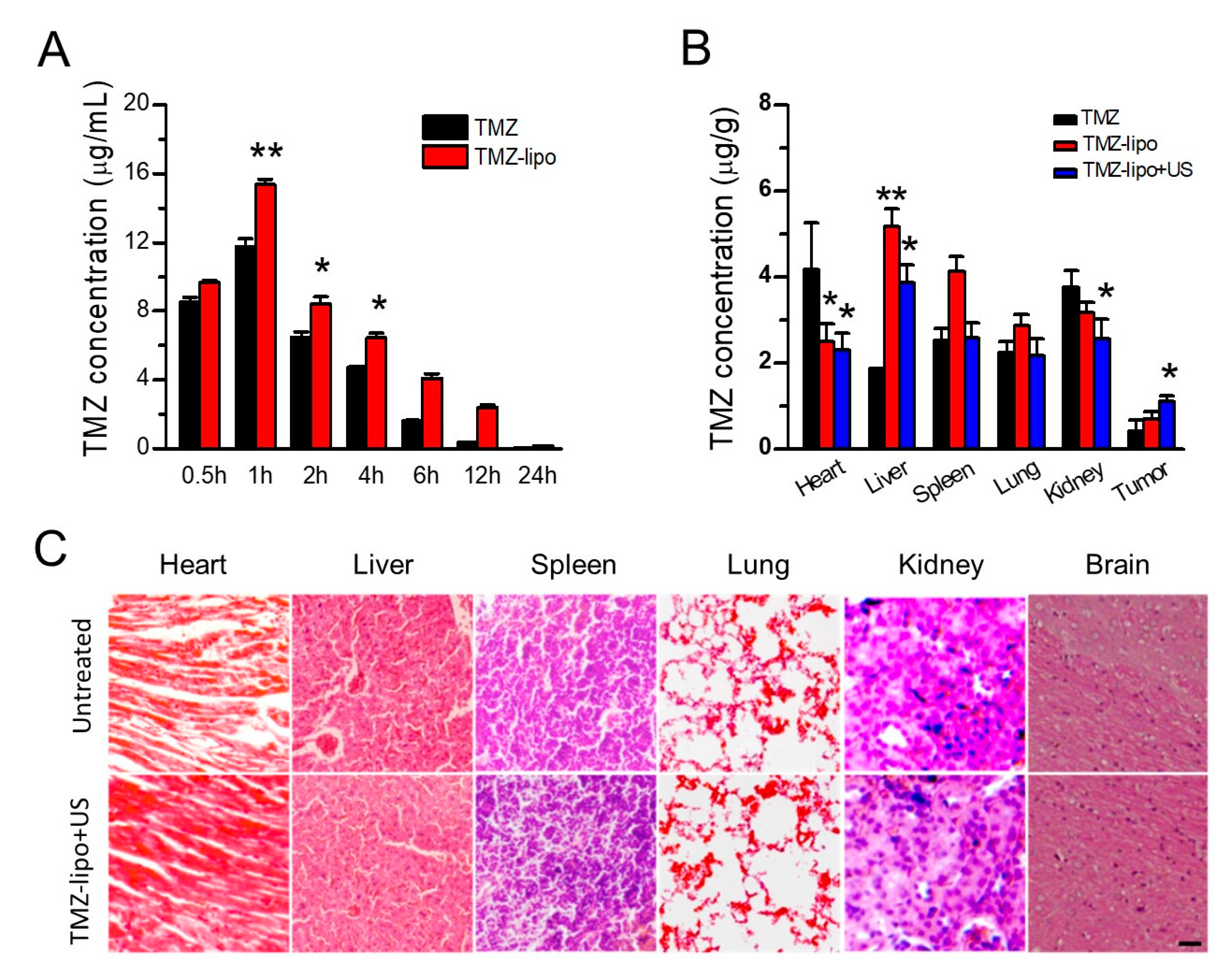 Pharmaceutics 13 01270 g005