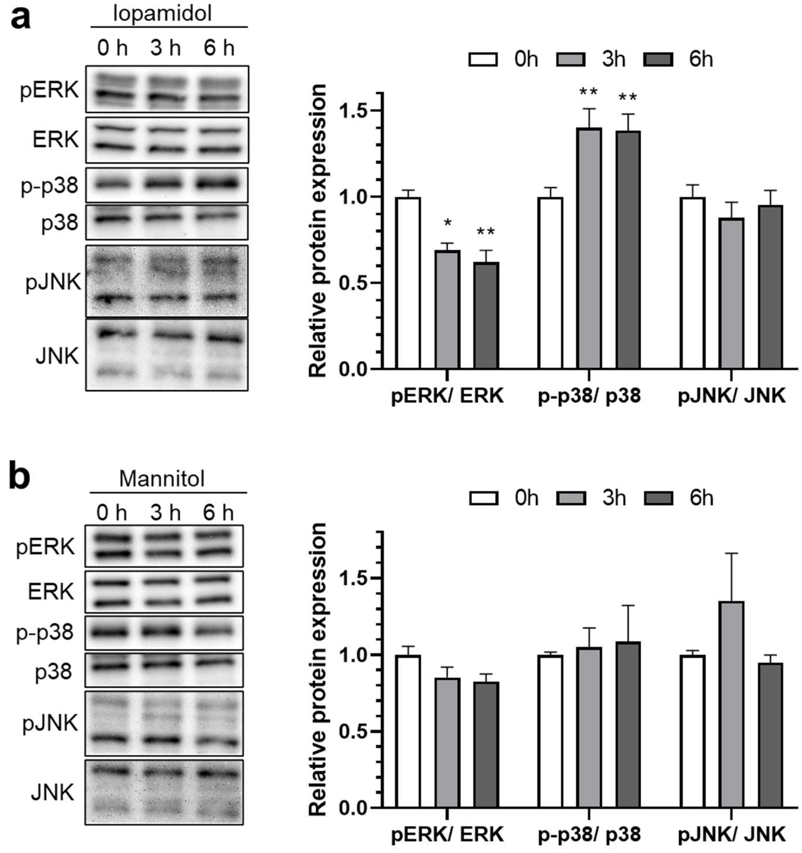 Pharmaceutics 13 01272 g004