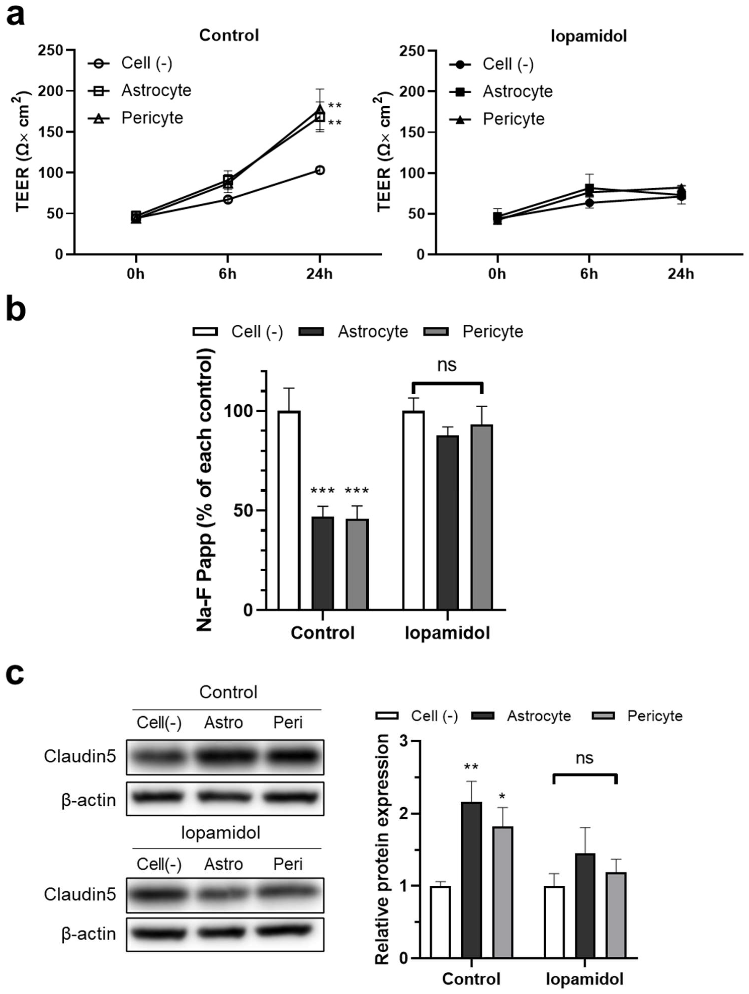 Pharmaceutics 13 01272 g007