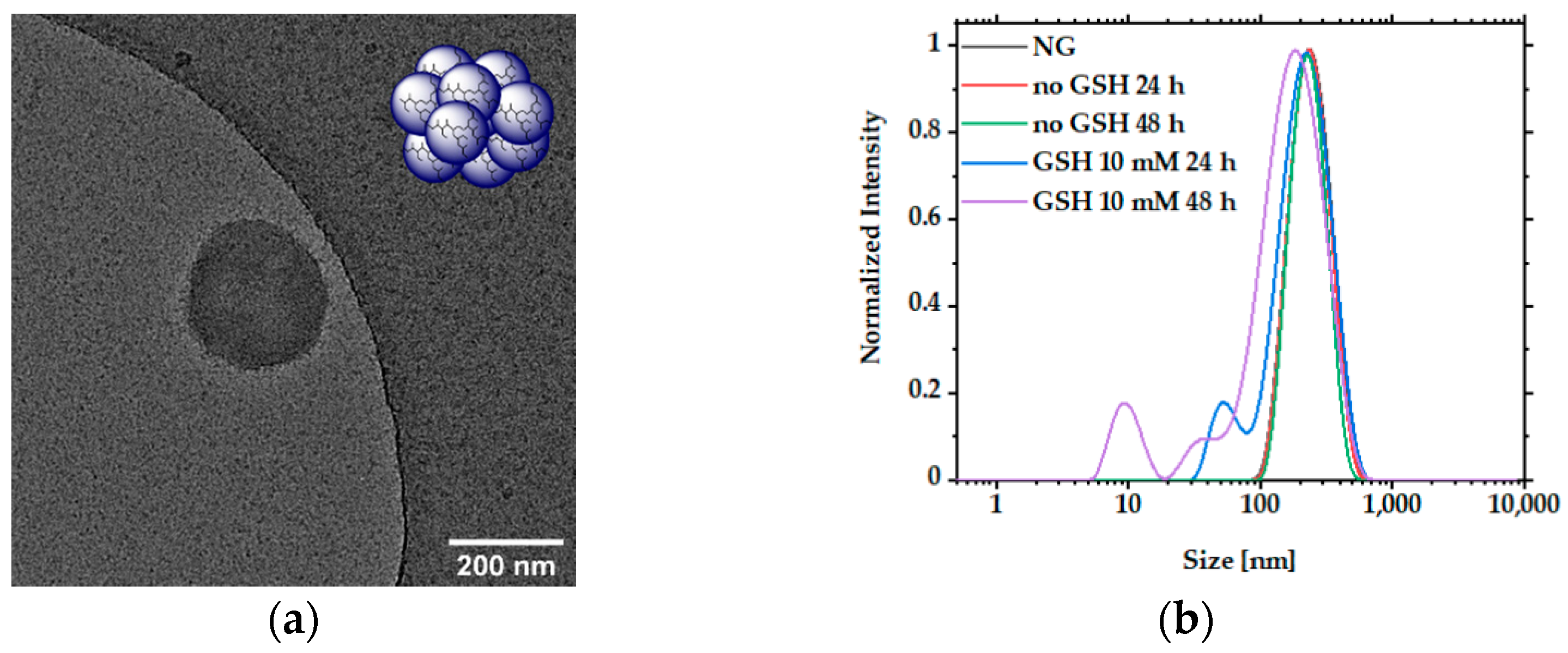 Pharmaceutics 13 01276 g001