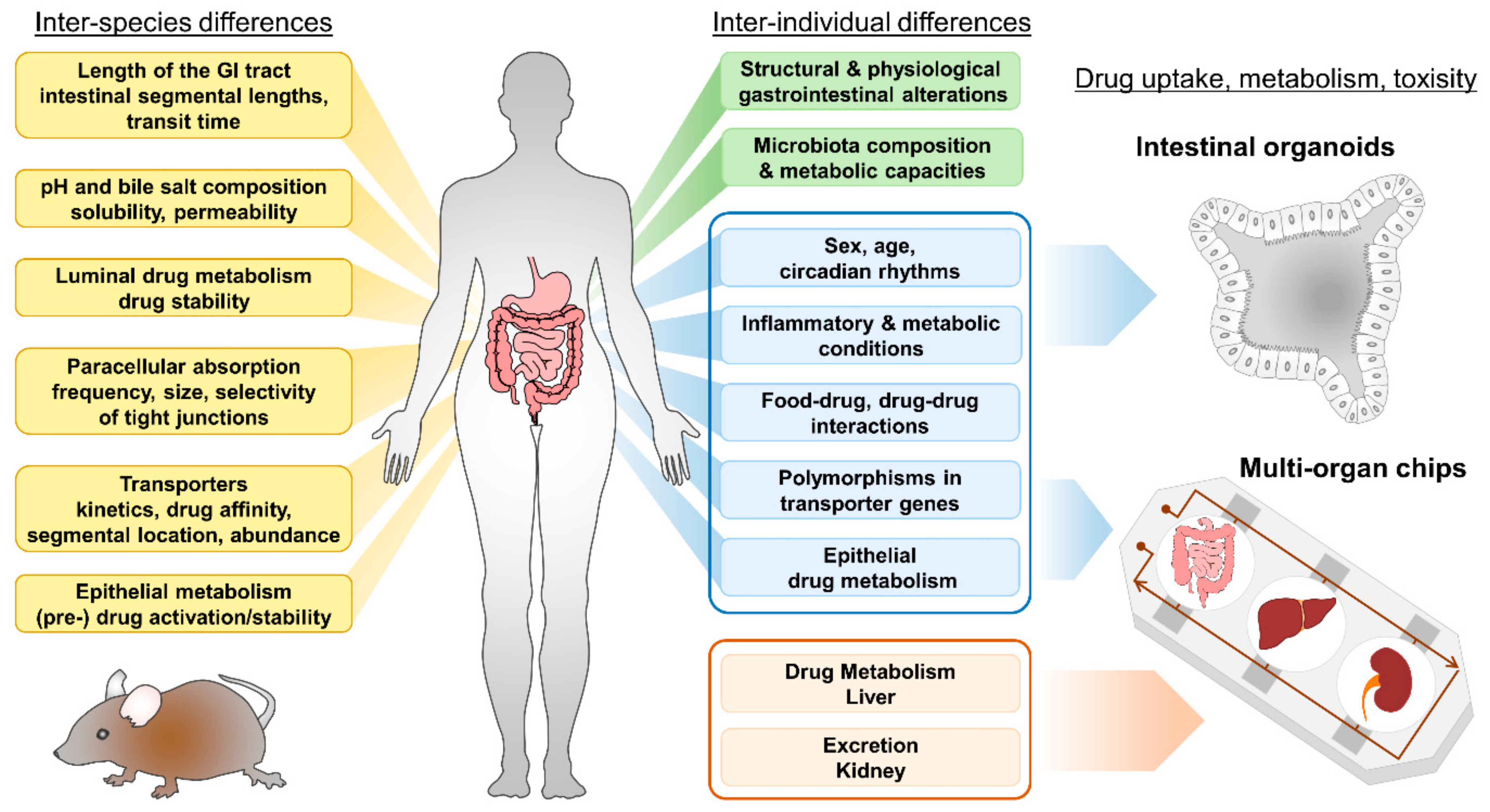 Pharmaceutics 13 01280 g001