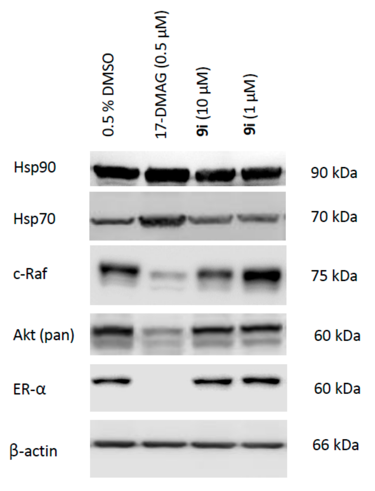 Pharmaceutics 13 01283 g005 Pharmaceutics 13 01283 g005