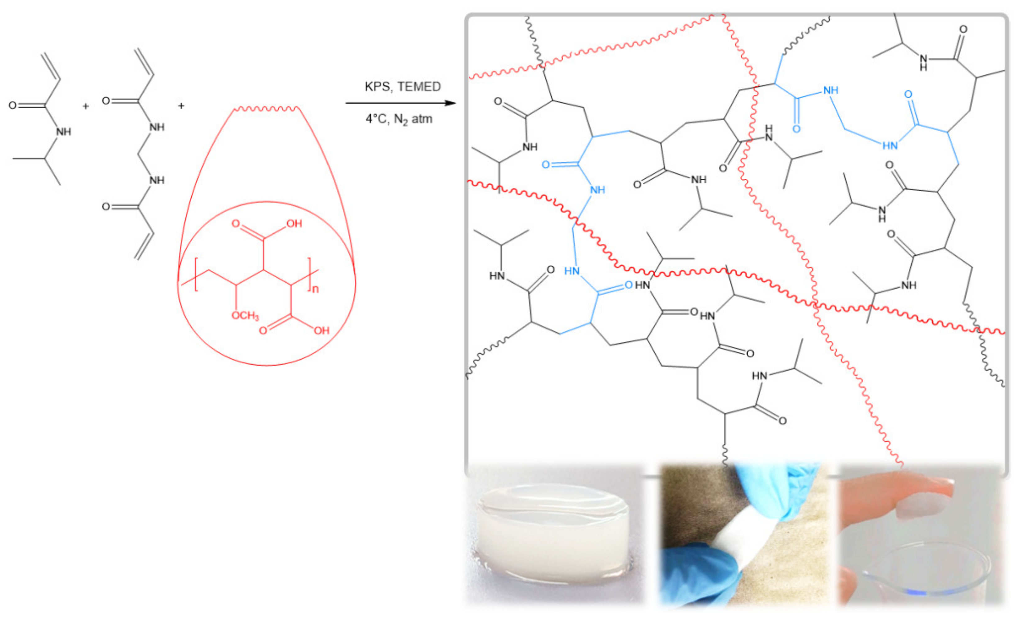 Pharmaceutics 13 01284 g001