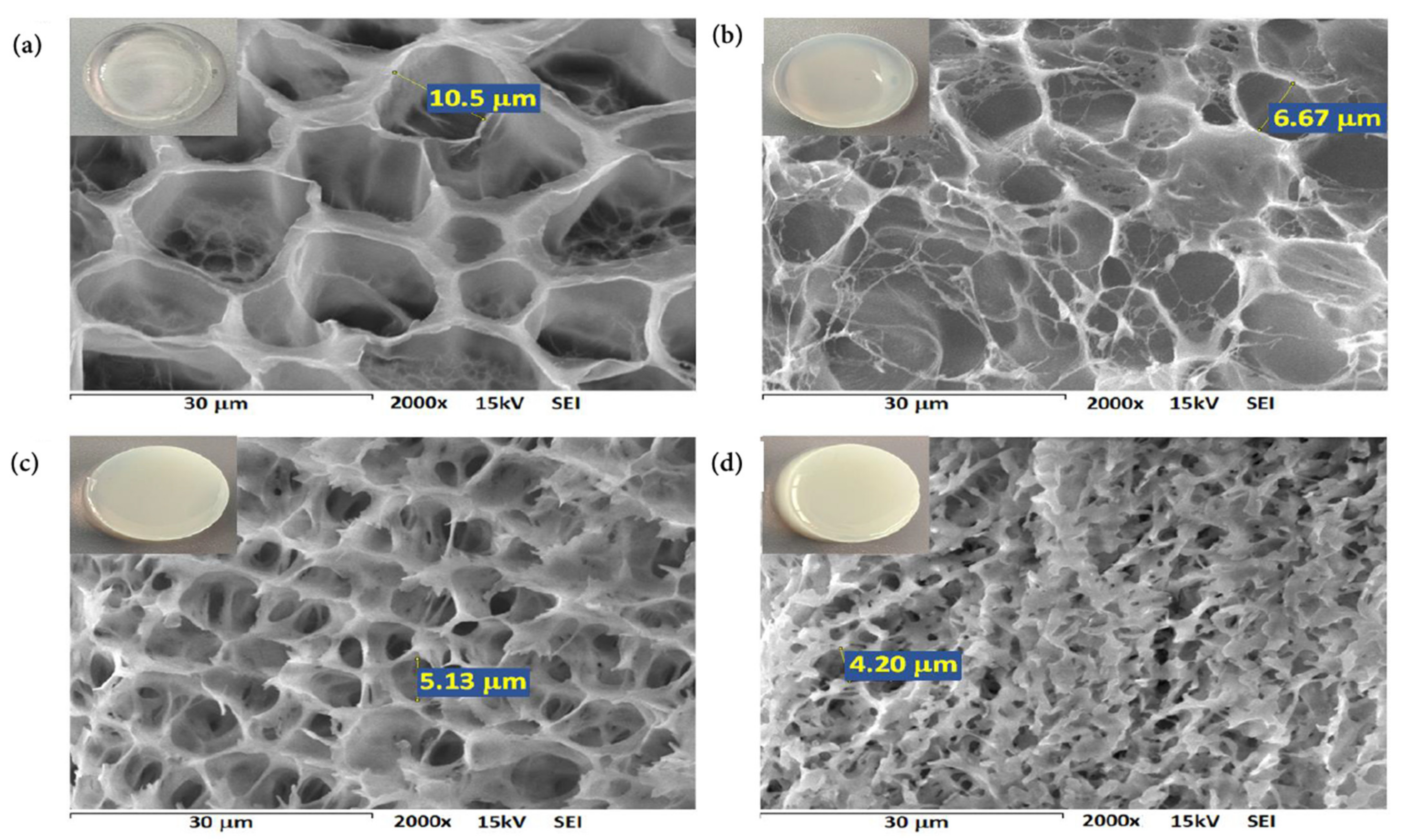 Pharmaceutics 13 01284 g003