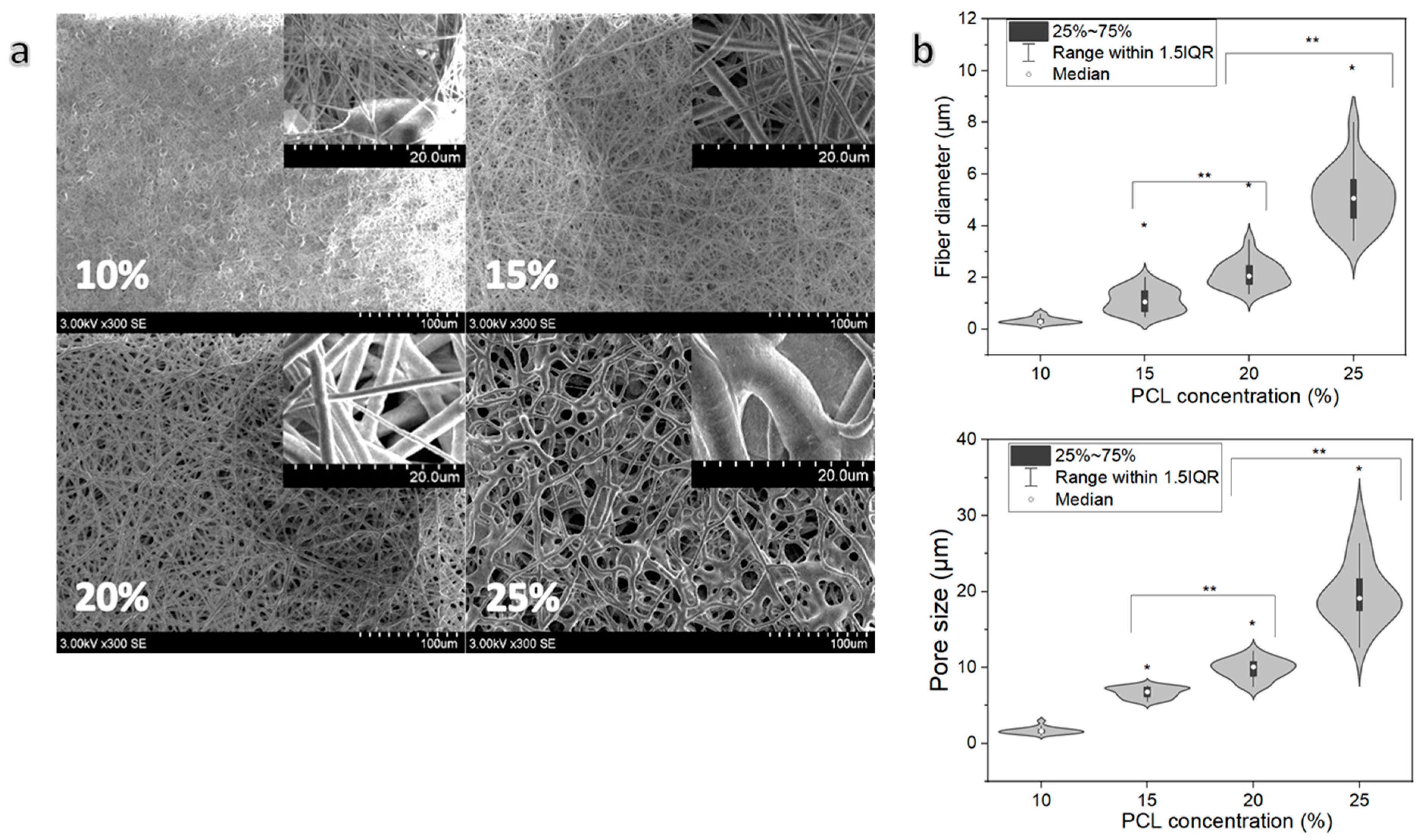 Pharmaceutics 13 01288 g002