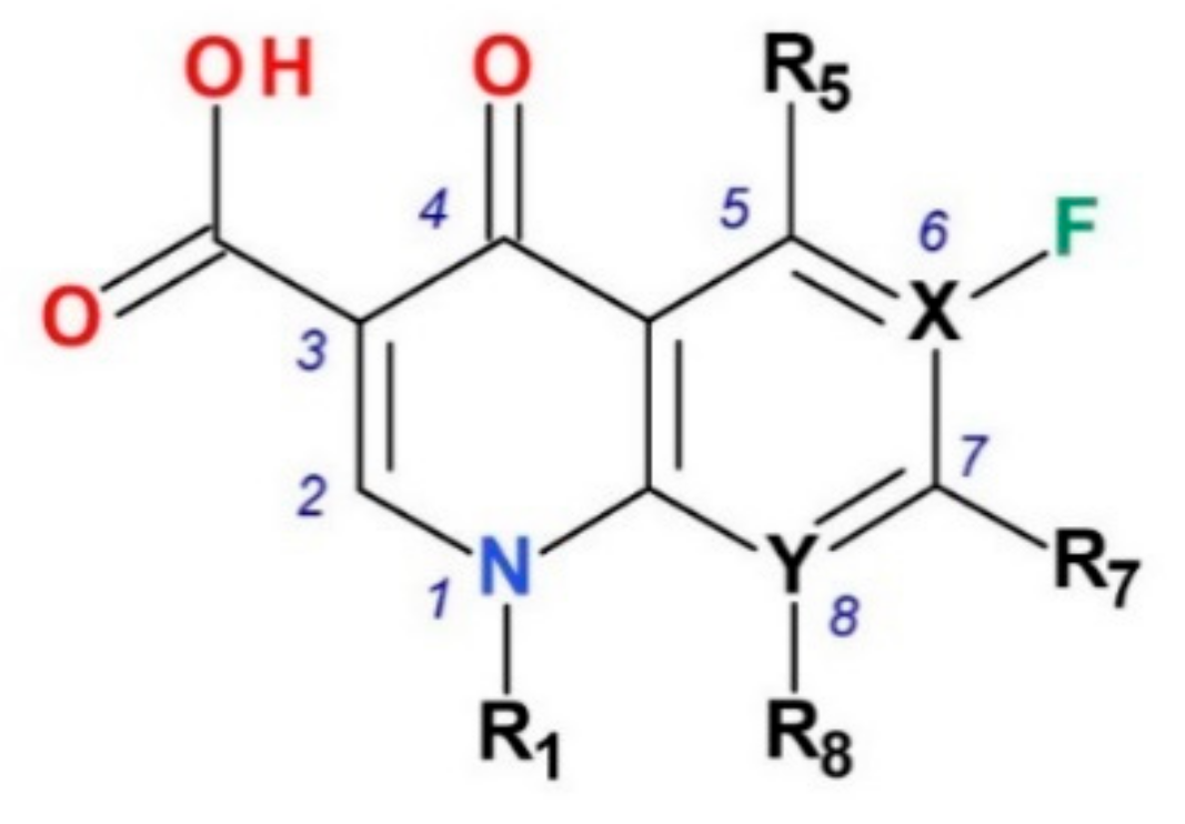 Pharmaceutics 13 01289 g001