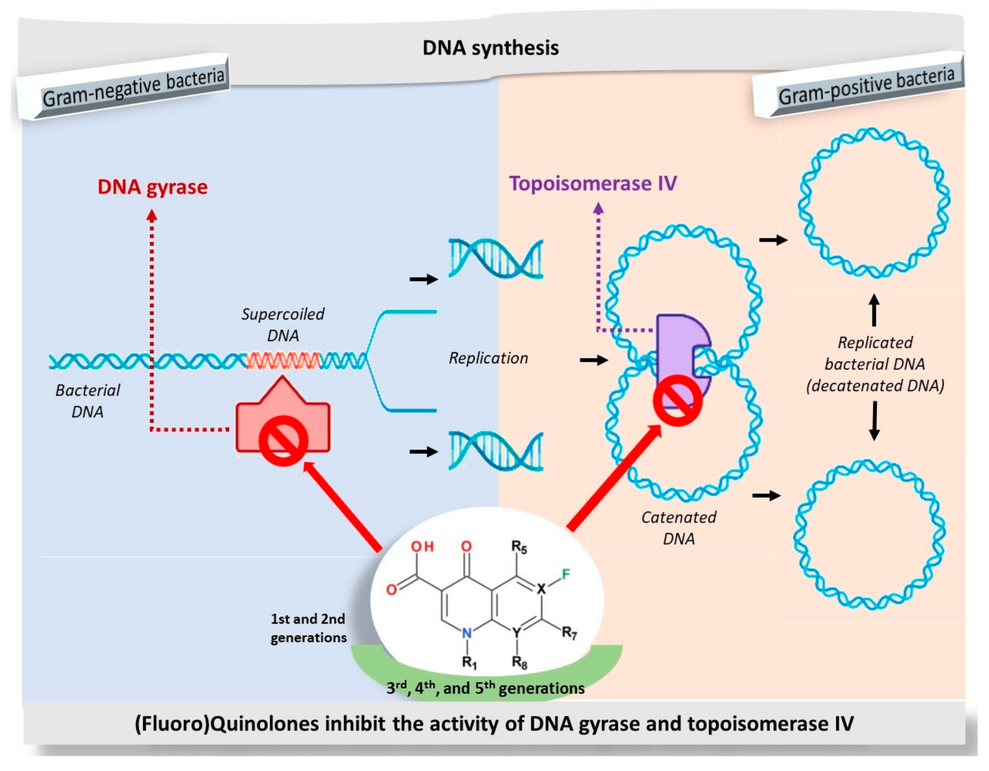 Pharmaceutics 13 01289 g002