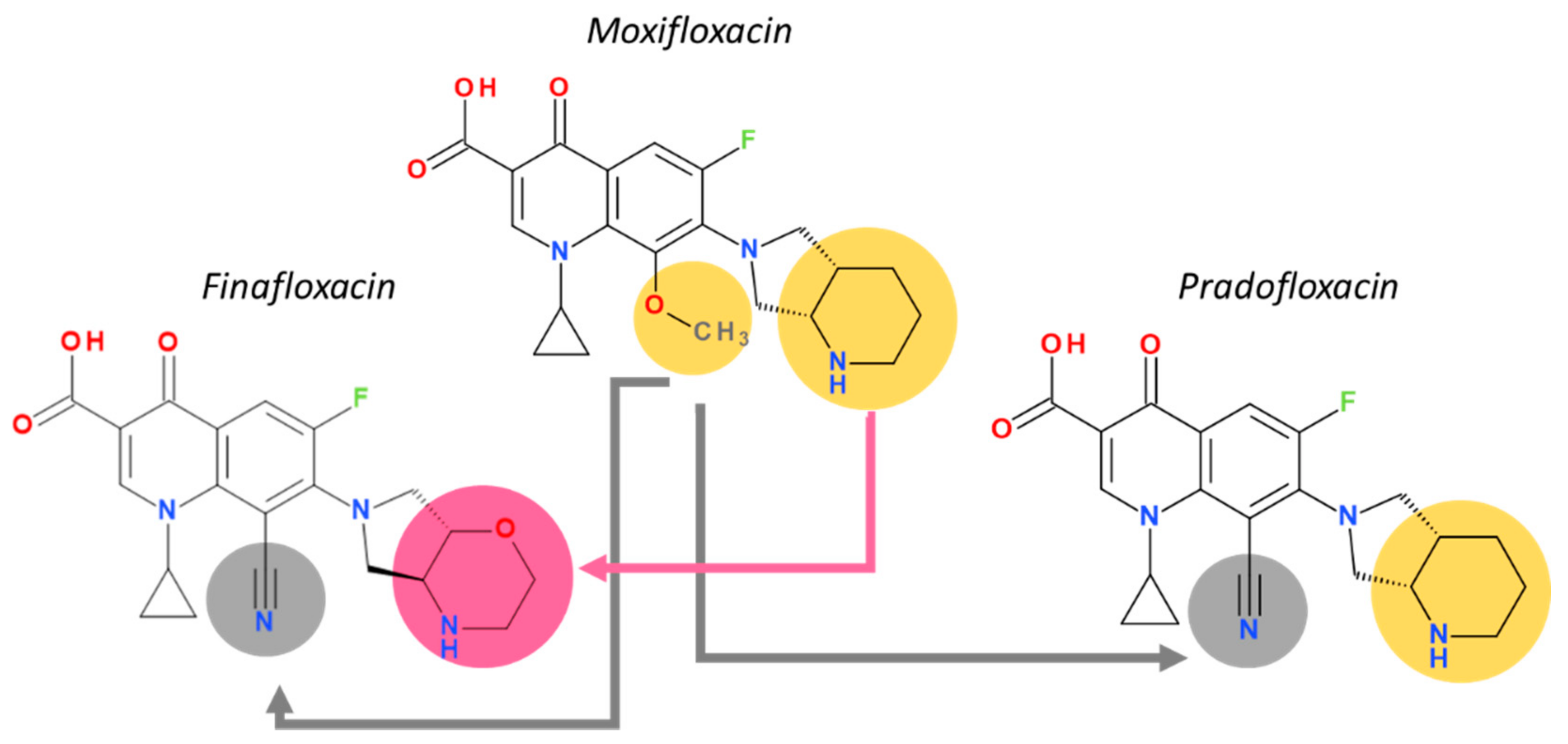 Pharmaceutics 13 01289 g007