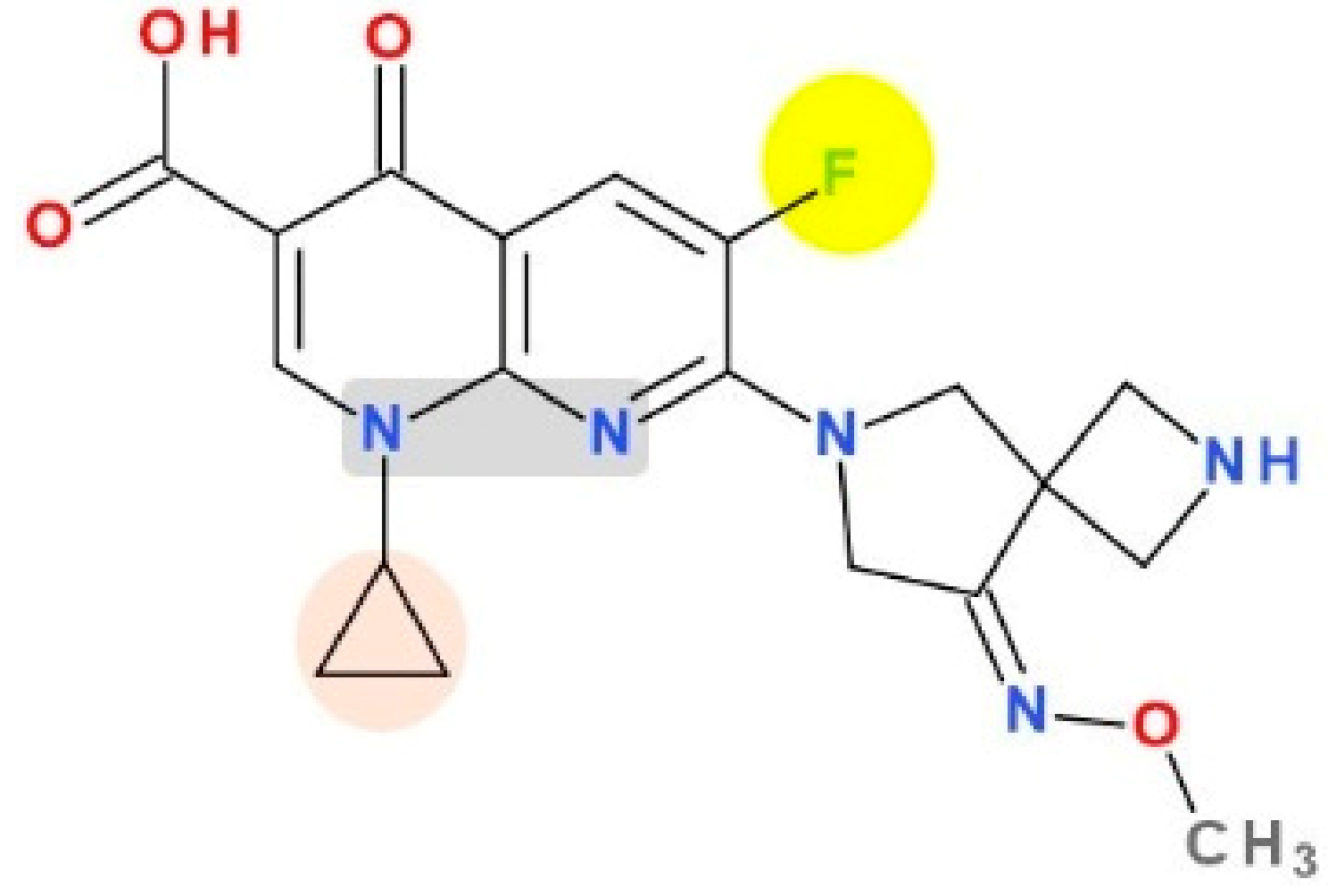 Pharmaceutics 13 01289 g011