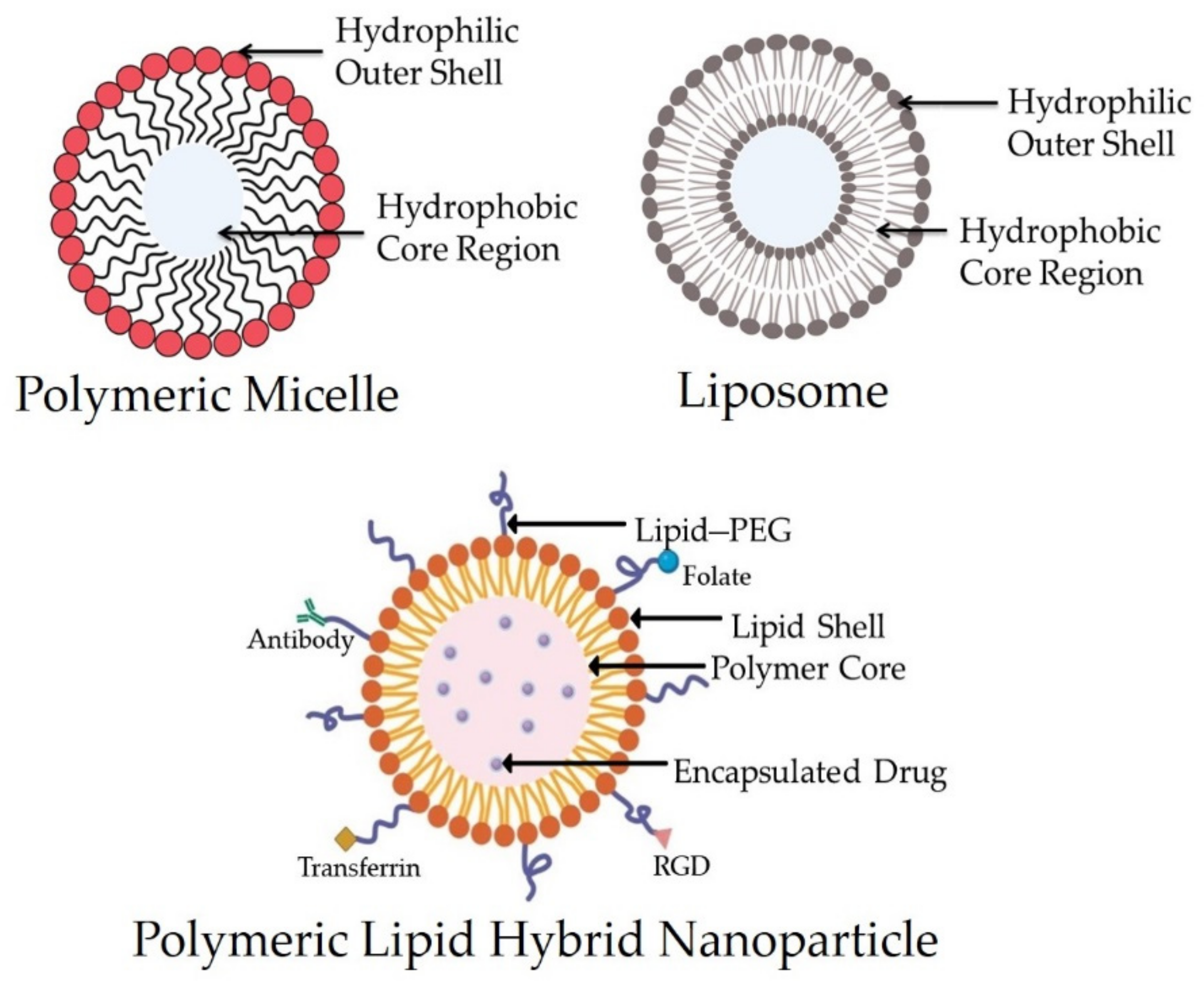 Pharmaceutics 13 01291 g001