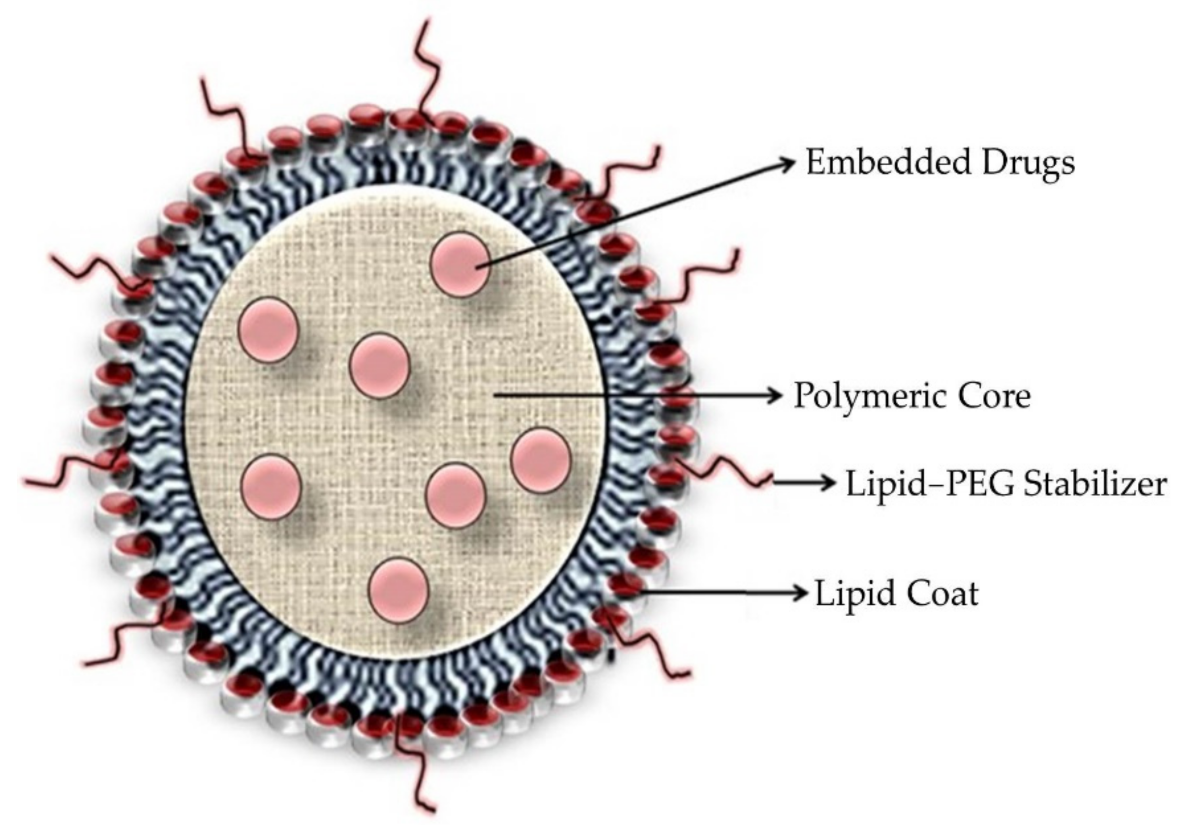 Pharmaceutics 13 01291 g008