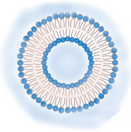 Pharmaceutics 13 01294 i001
