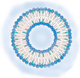Pharmaceutics 13 01294 i002