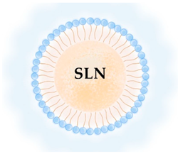 Pharmaceutics 13 01294 i004