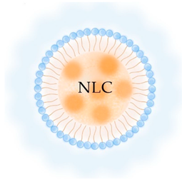 Pharmaceutics 13 01294 i005