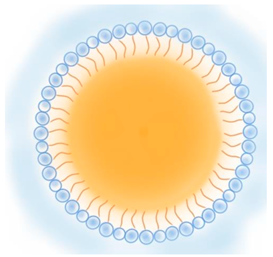 Pharmaceutics 13 01294 i006