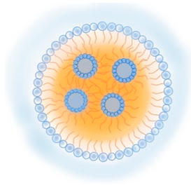 Pharmaceutics 13 01294 i007