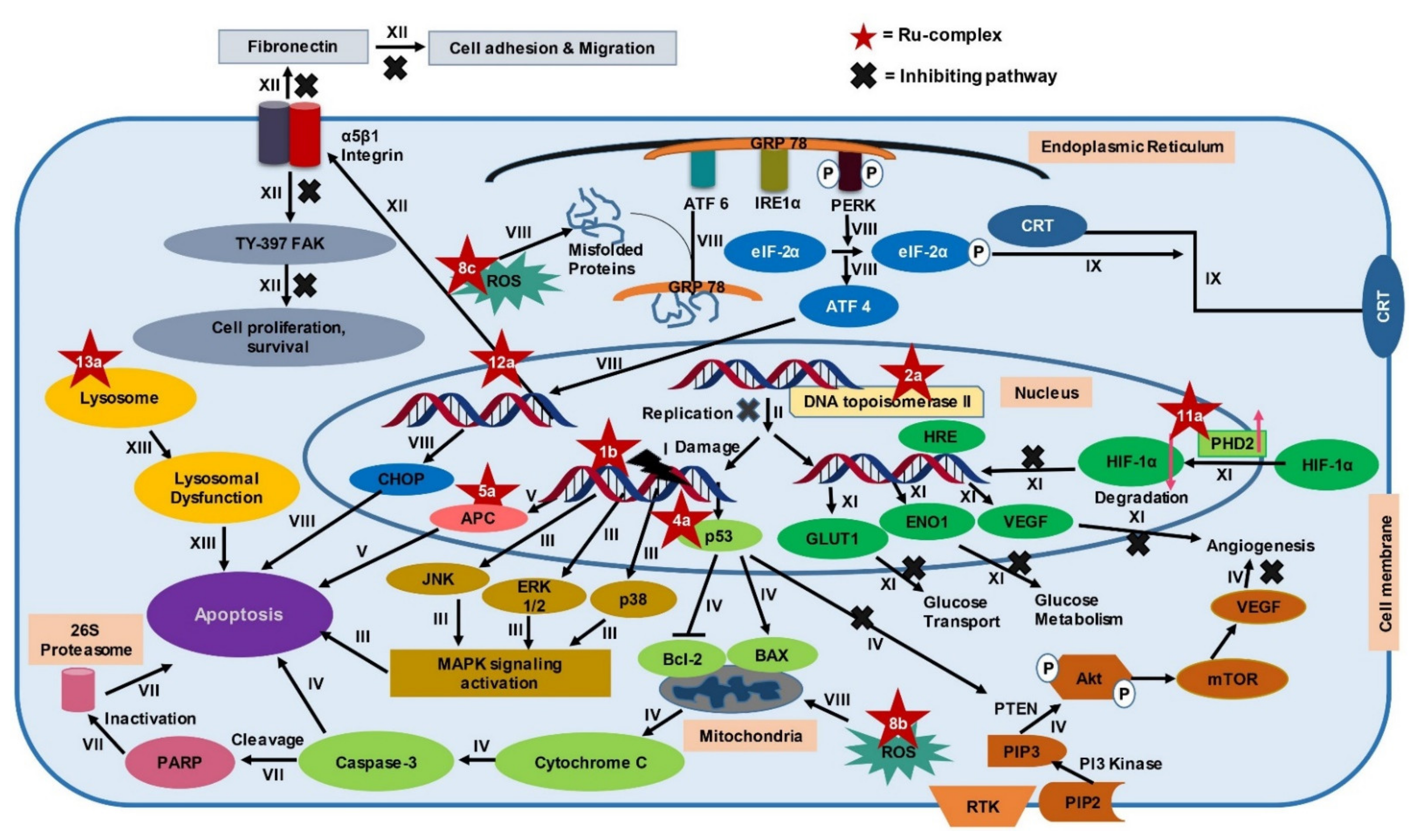 Pharmaceutics 13 01295 g003