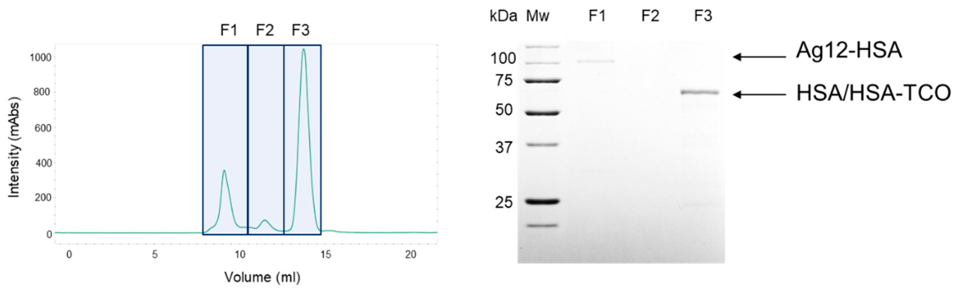 Pharmaceutics 13 01298 g006