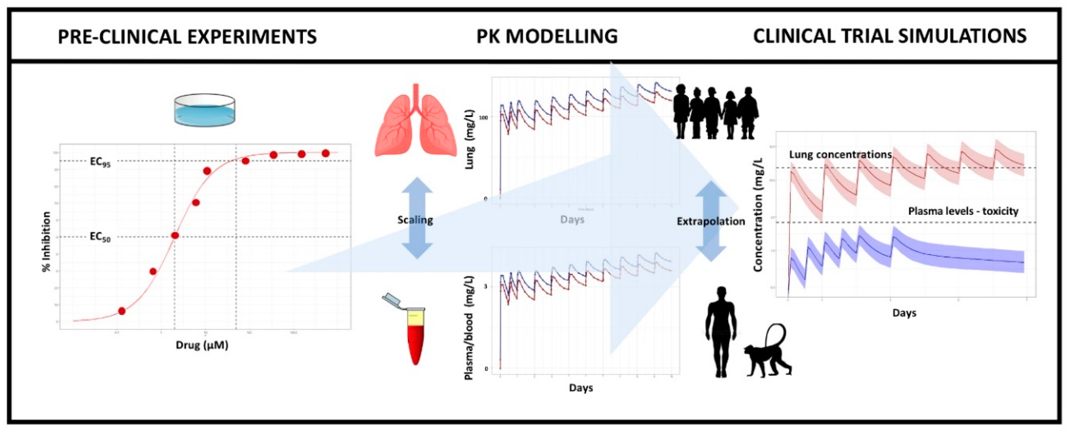 Pharmaceutics 13 01299 g001