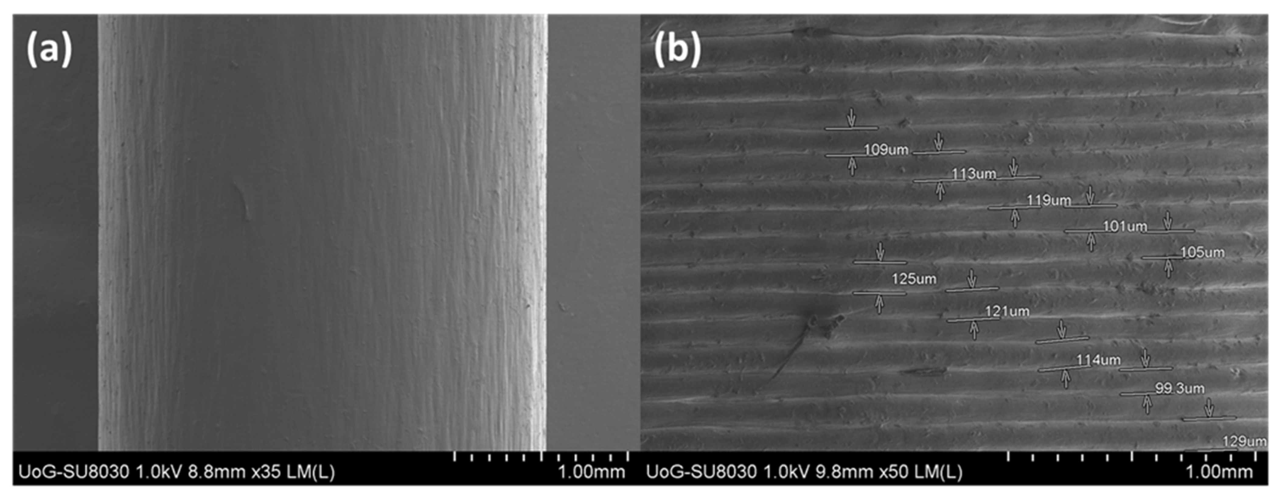 Pharmaceutics 13 01301 g005