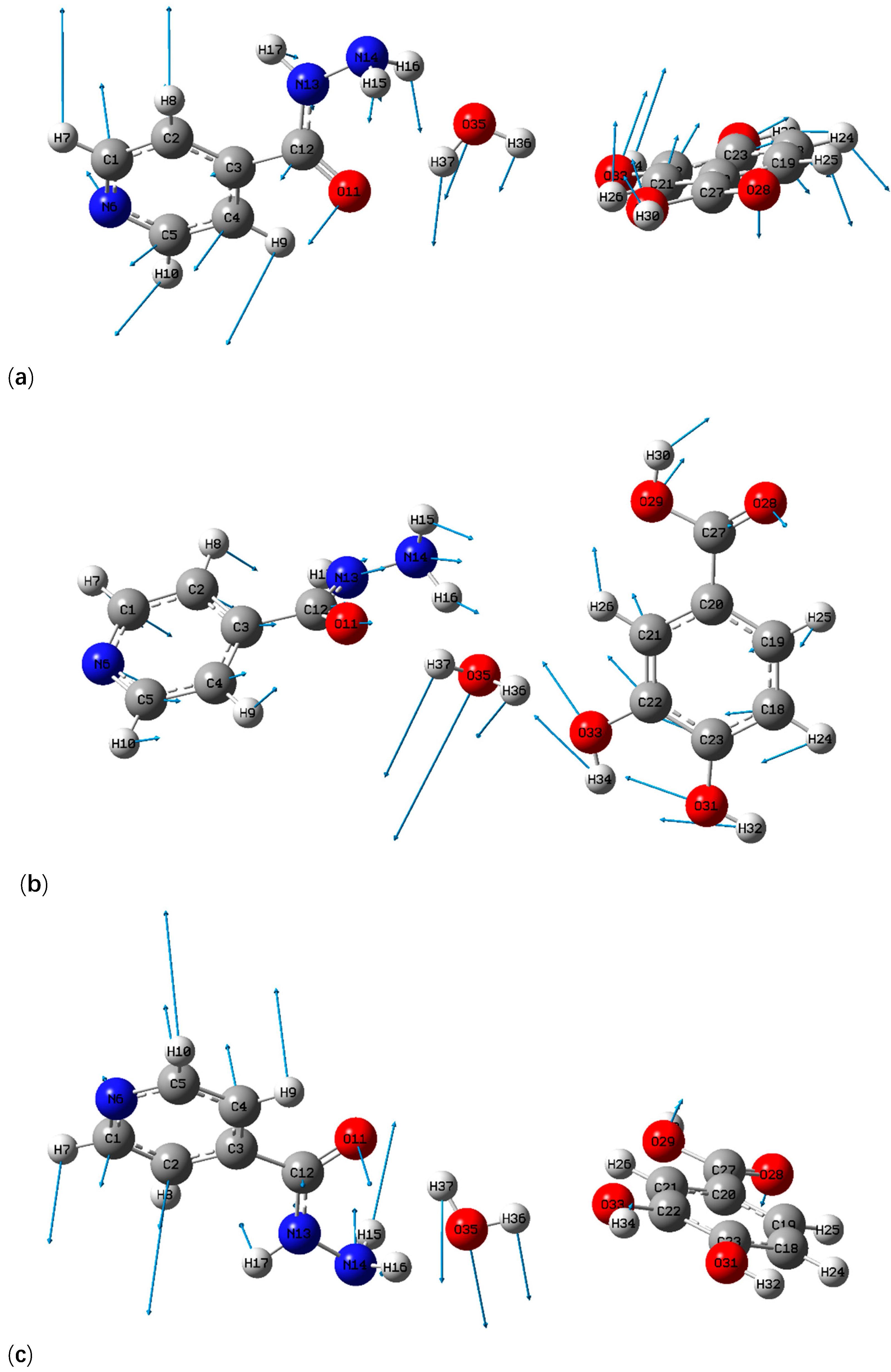 Pharmaceutics 13 01303 g006