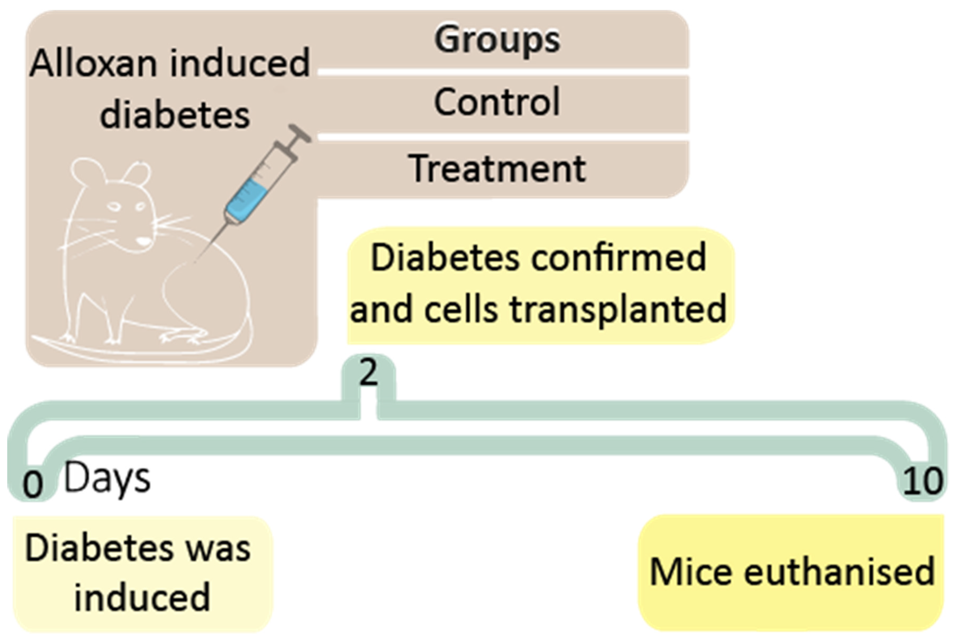 Pharmaceutics 13 01304 g002