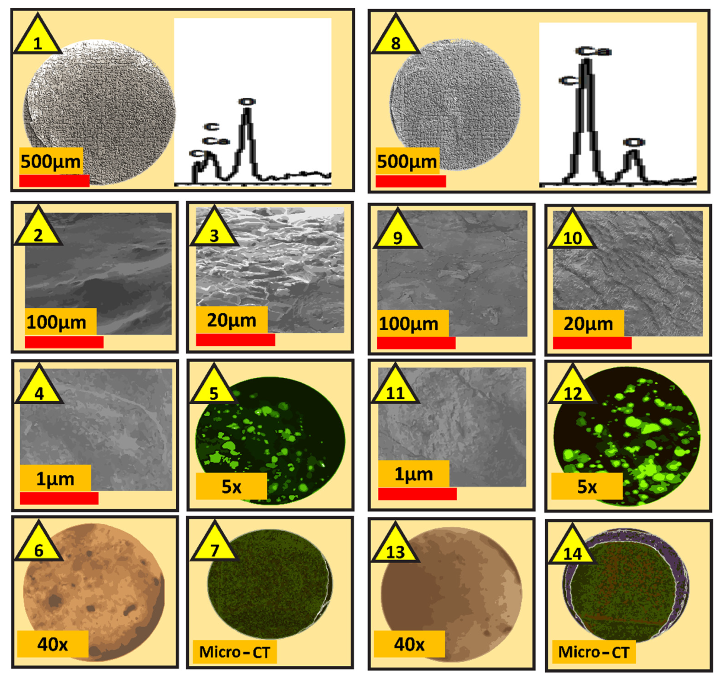 Pharmaceutics 13 01304 g003