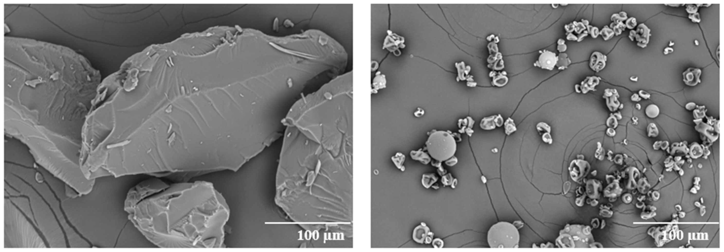 Pharmaceutics 13 01307 g003