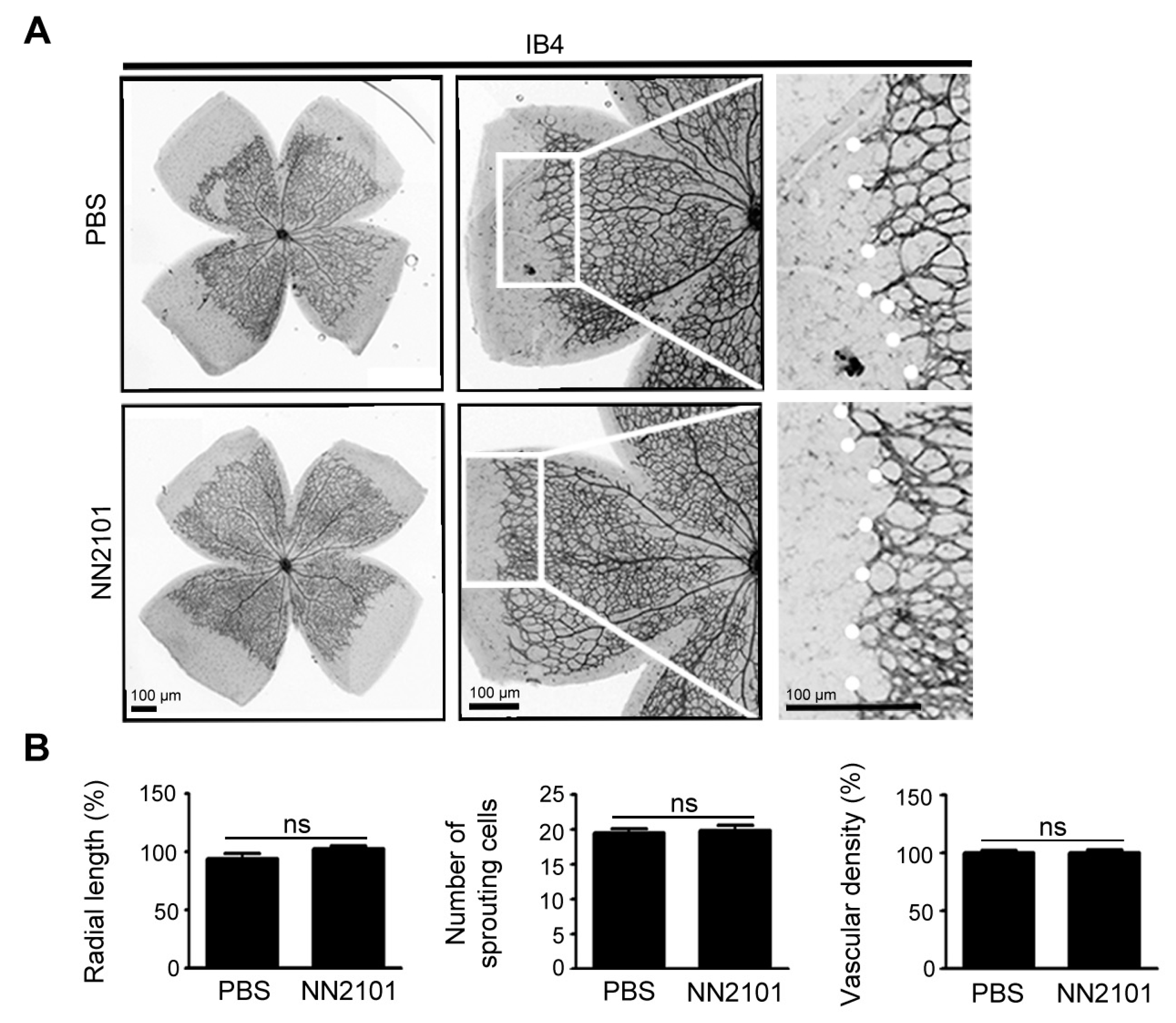 Pharmaceutics 13 01308 g005 Pharmaceutics 13 01308 g005
