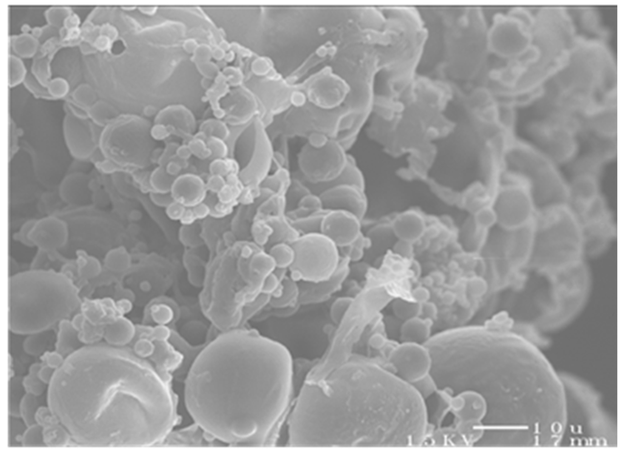 Pharmaceutics 13 01309 g001 Pharmaceutics 13 01309 g001