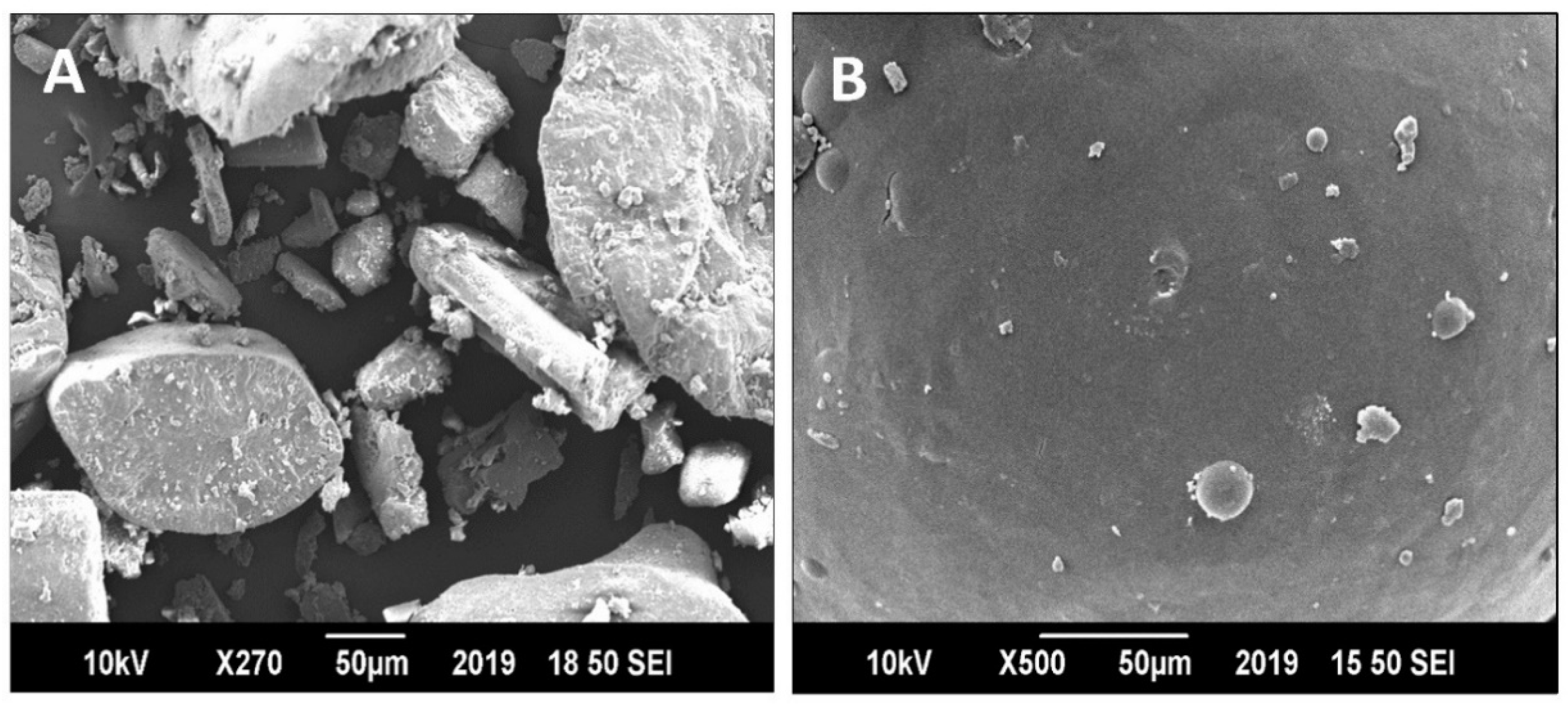 Pharmaceutics 13 01315 g004