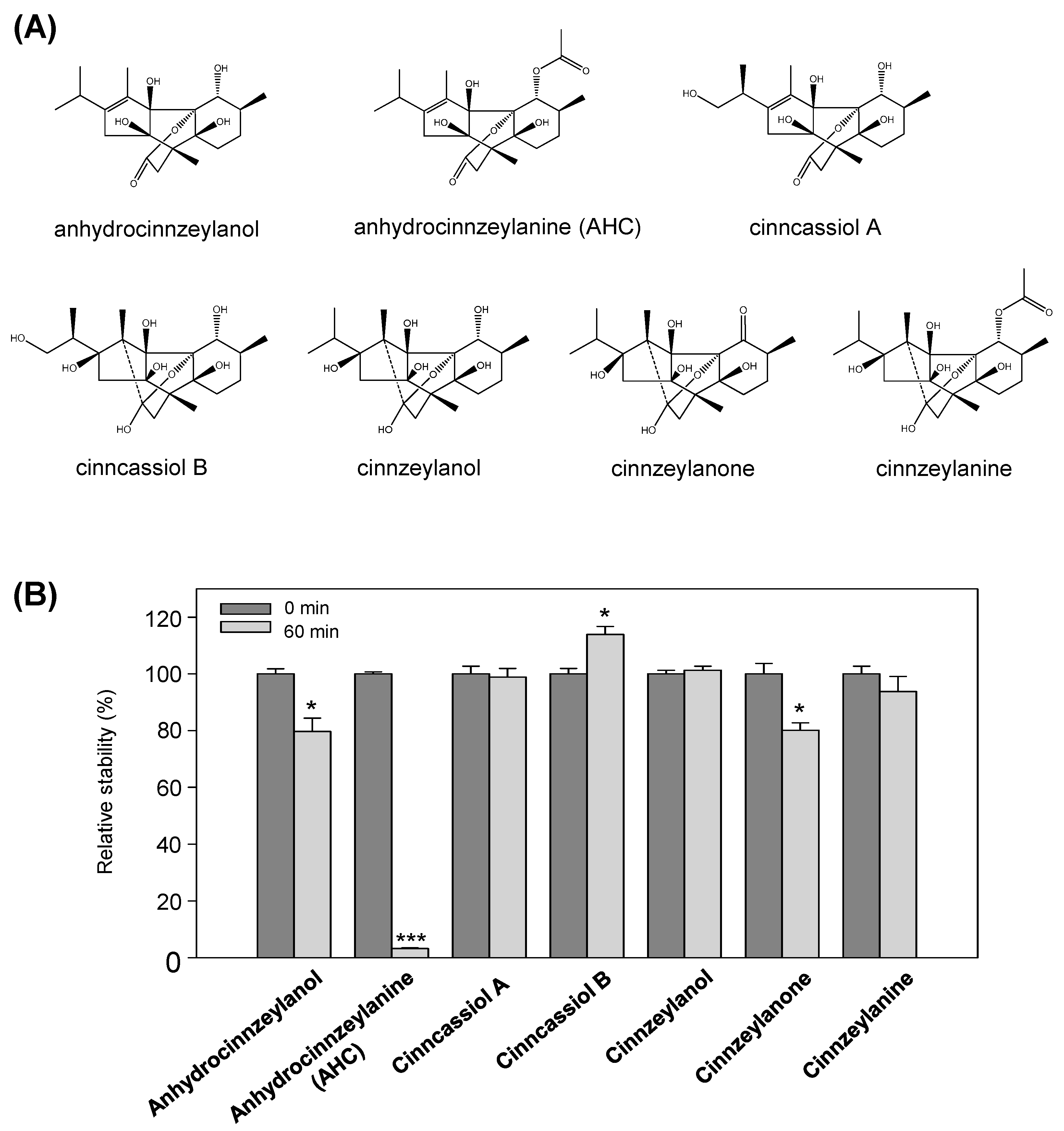 Pharmaceutics 13 01316 g001